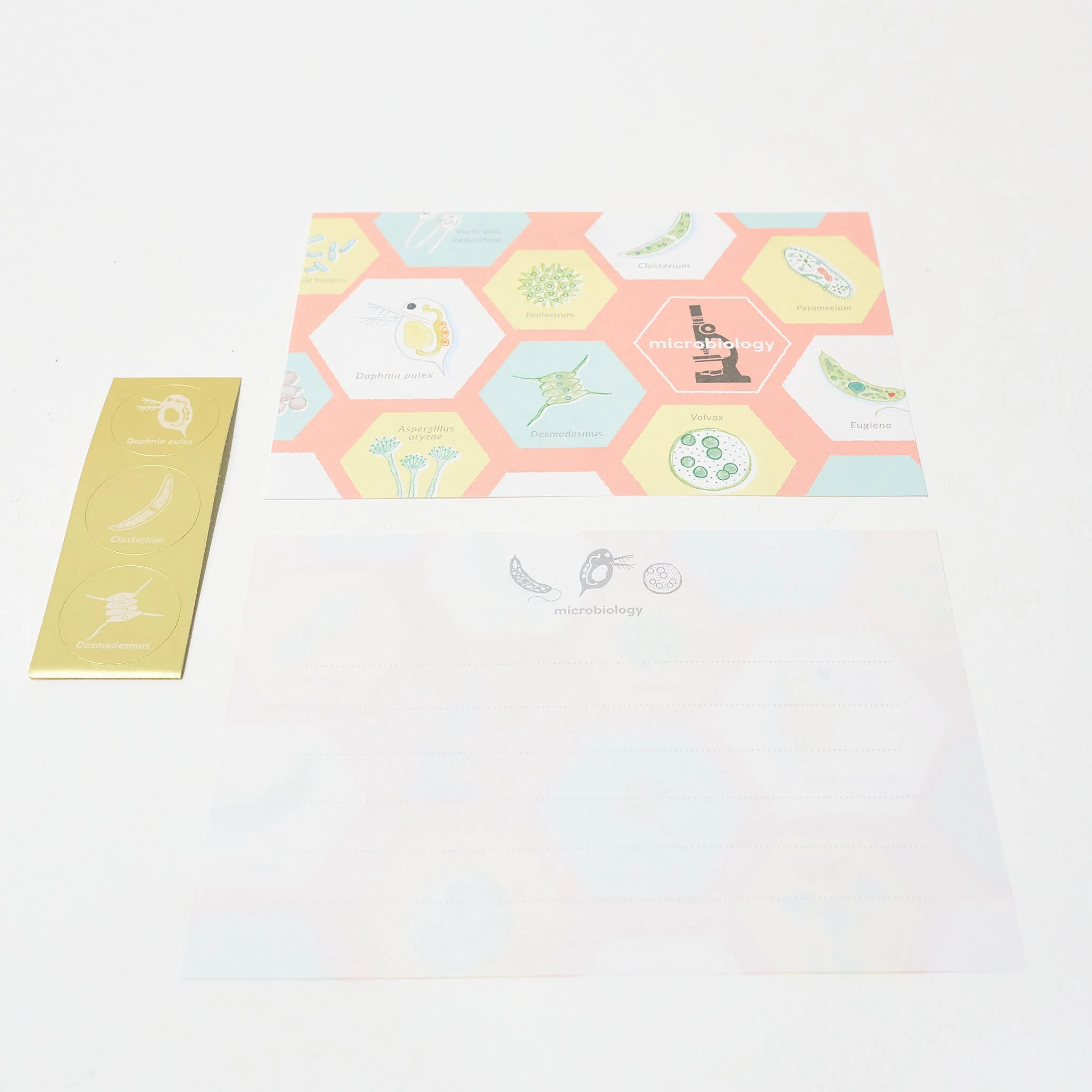 Microbiology STUDY HOLIC Bundle / GreenFlash - Image 14