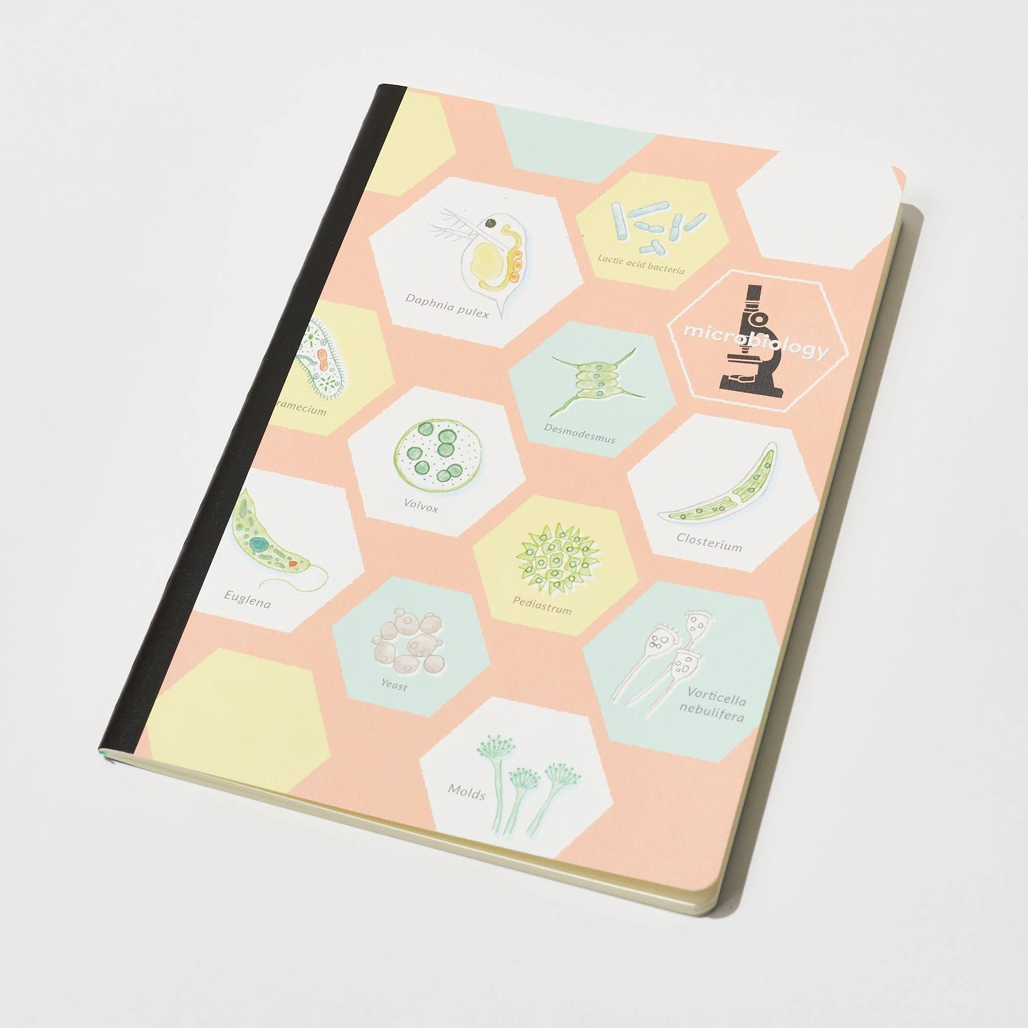 Microbiology STUDY HOLIC Bundle / GreenFlash - Image 2