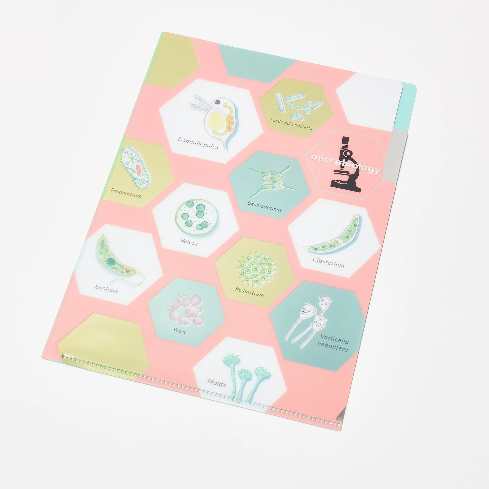 Microbiology STUDY HOLIC Bundle / GreenFlash - Image 4