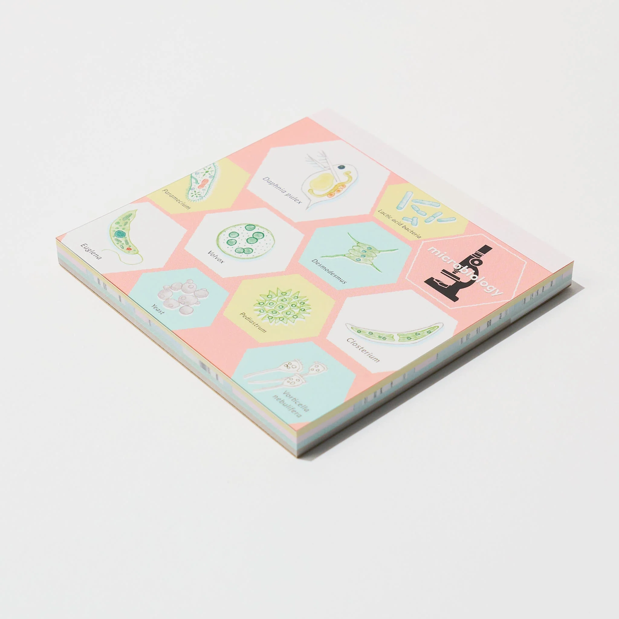 Microbiology STUDY HOLIC Bundle / GreenFlash - Image 8