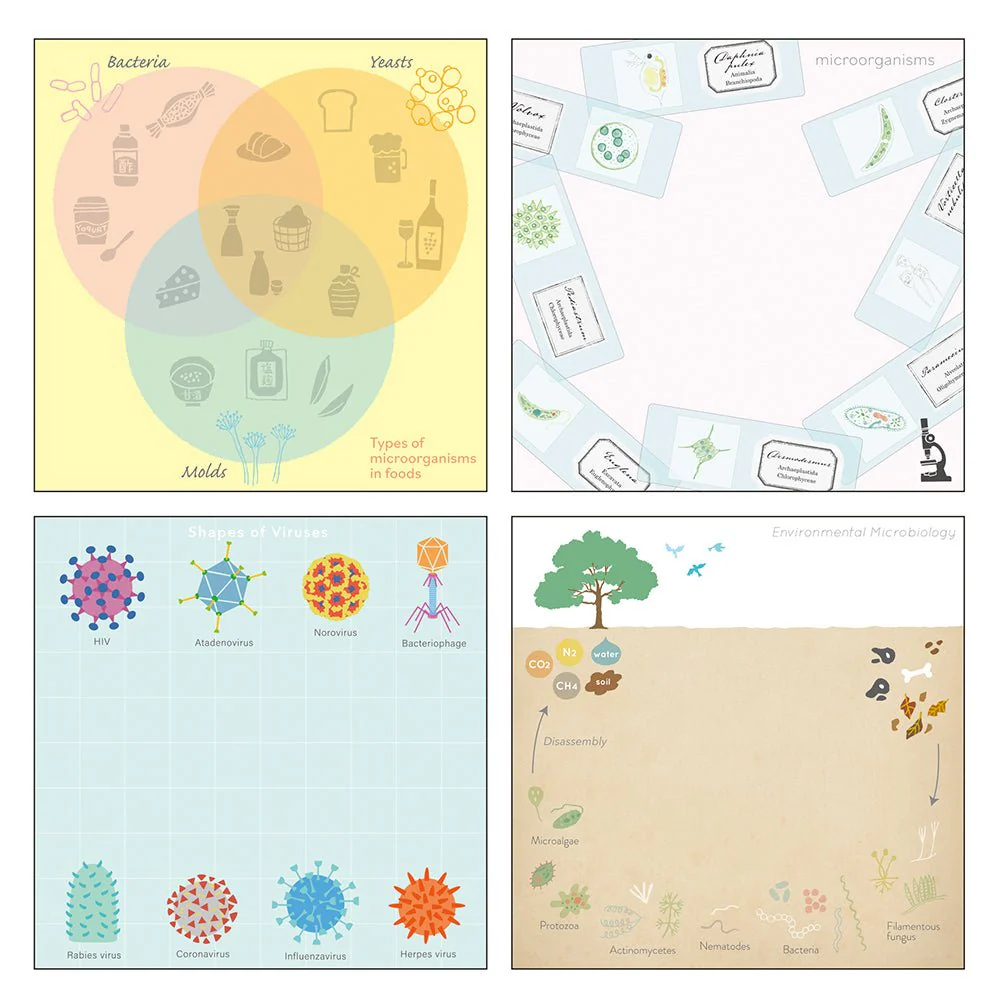 Microbiology STUDY HOLIC Bundle / GreenFlash - Image 9
