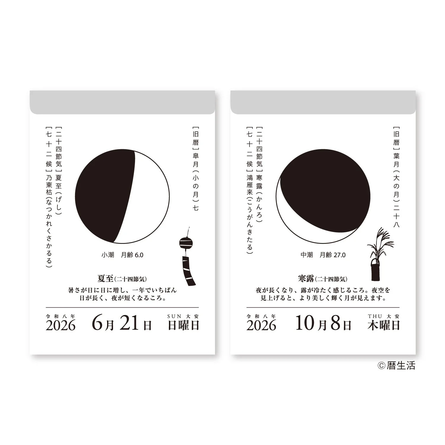 Moon Phase Daily Tear-Off Calendar 2026 / Shin Nihon Calendar - Image 3