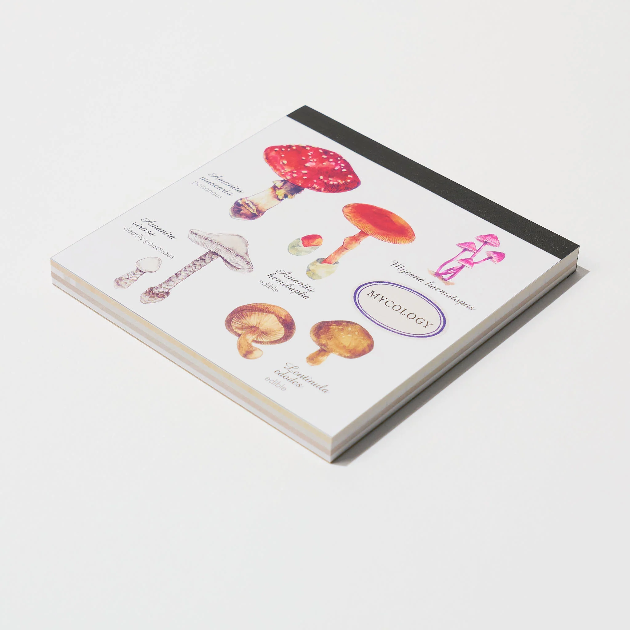 STUDY HOLIC Memo Pad Square / GreenFlash - Image 17