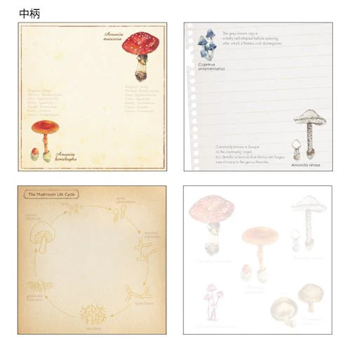 STUDY HOLIC Memo Pad Square / GreenFlash - Image 18