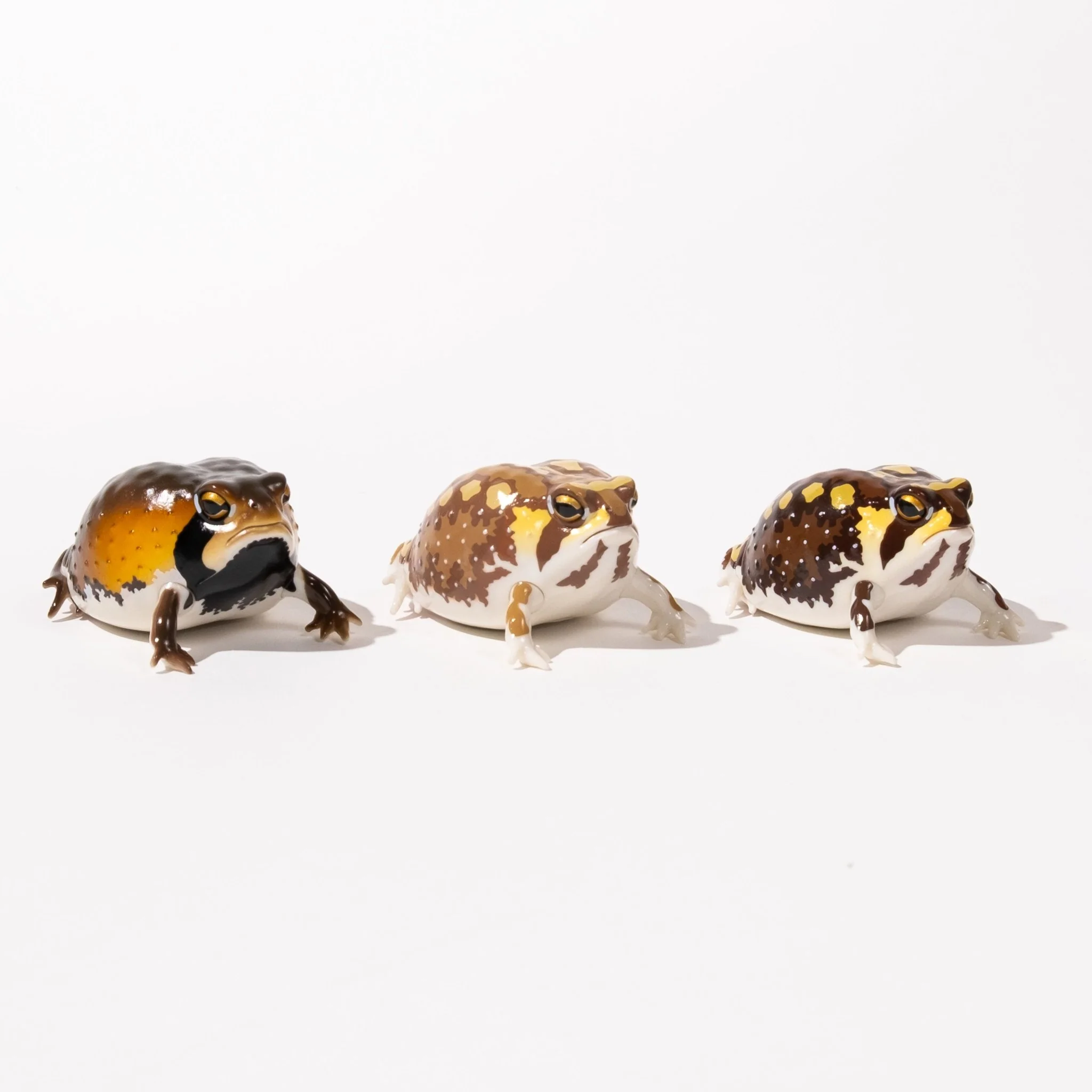 NTC Glossy-Skinned Chubby Frogs Gacha Capsule