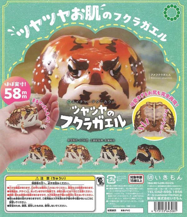 NTC Glossy-Skinned Chubby Frogs Gacha Capsule - Image 2