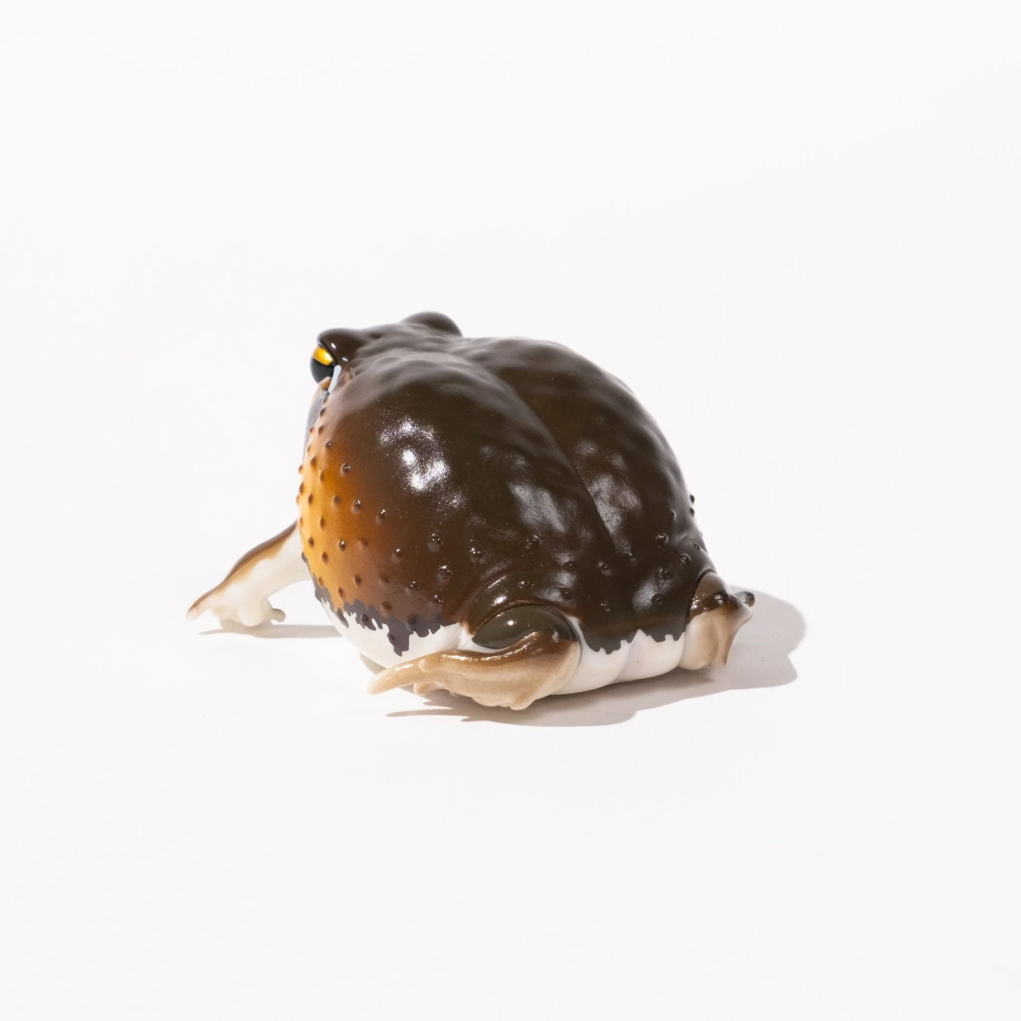 NTC Glossy-Skinned Chubby Frogs Gacha Capsule - Image 4