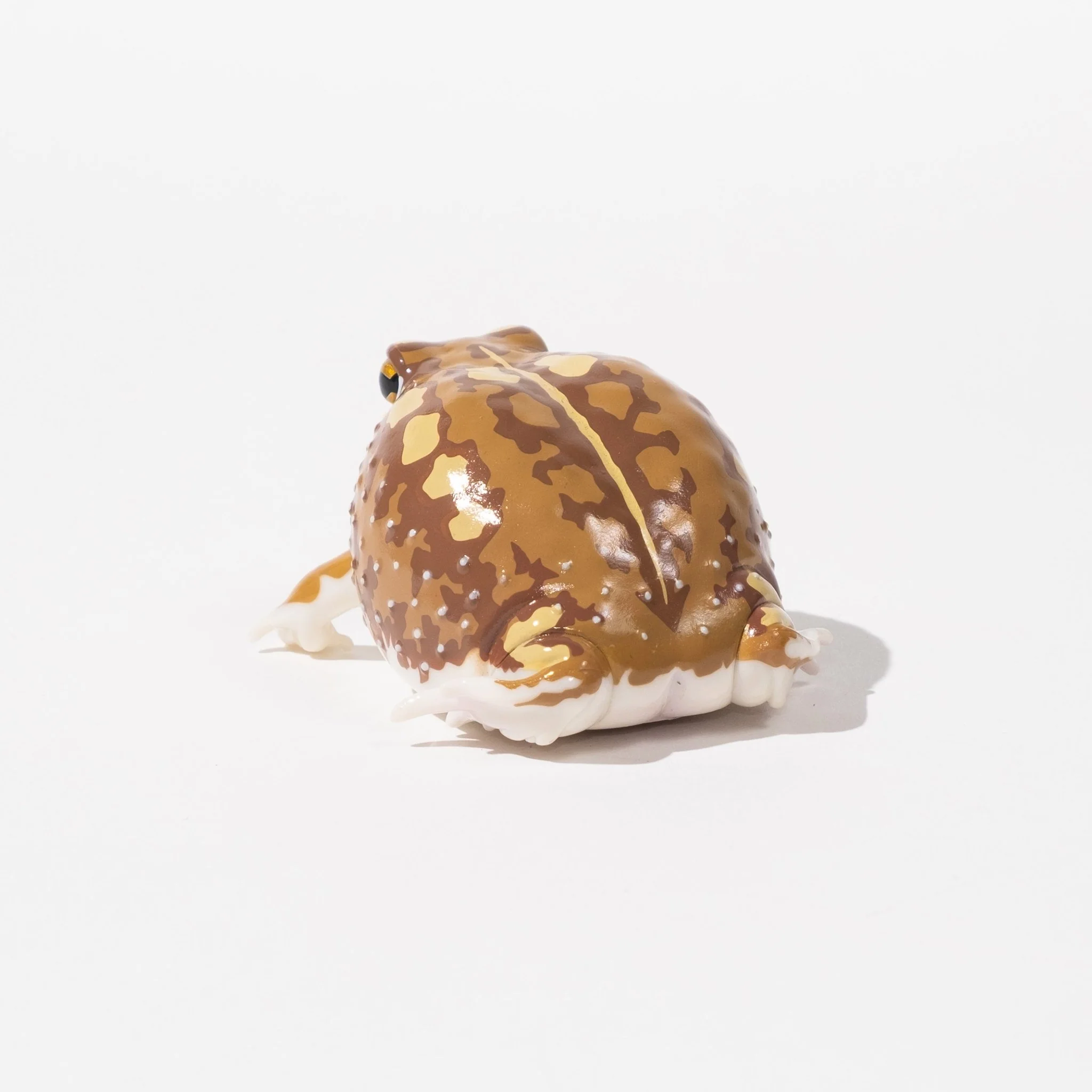 NTC Glossy-Skinned Chubby Frogs Gacha Capsule - Image 5