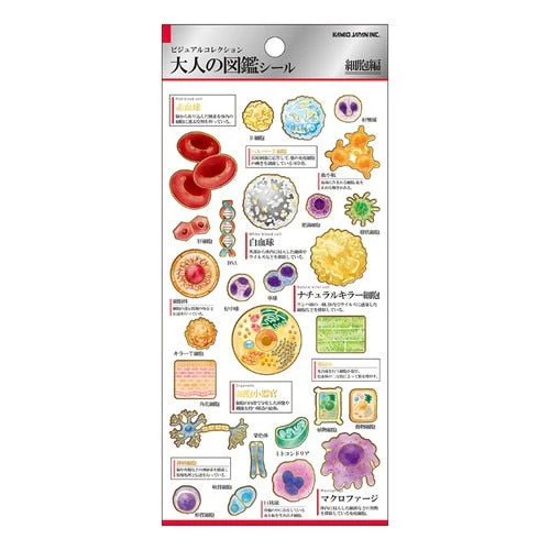 Otonano Zukan Nature and Animals Stickers / Kamio Japan - Image 37