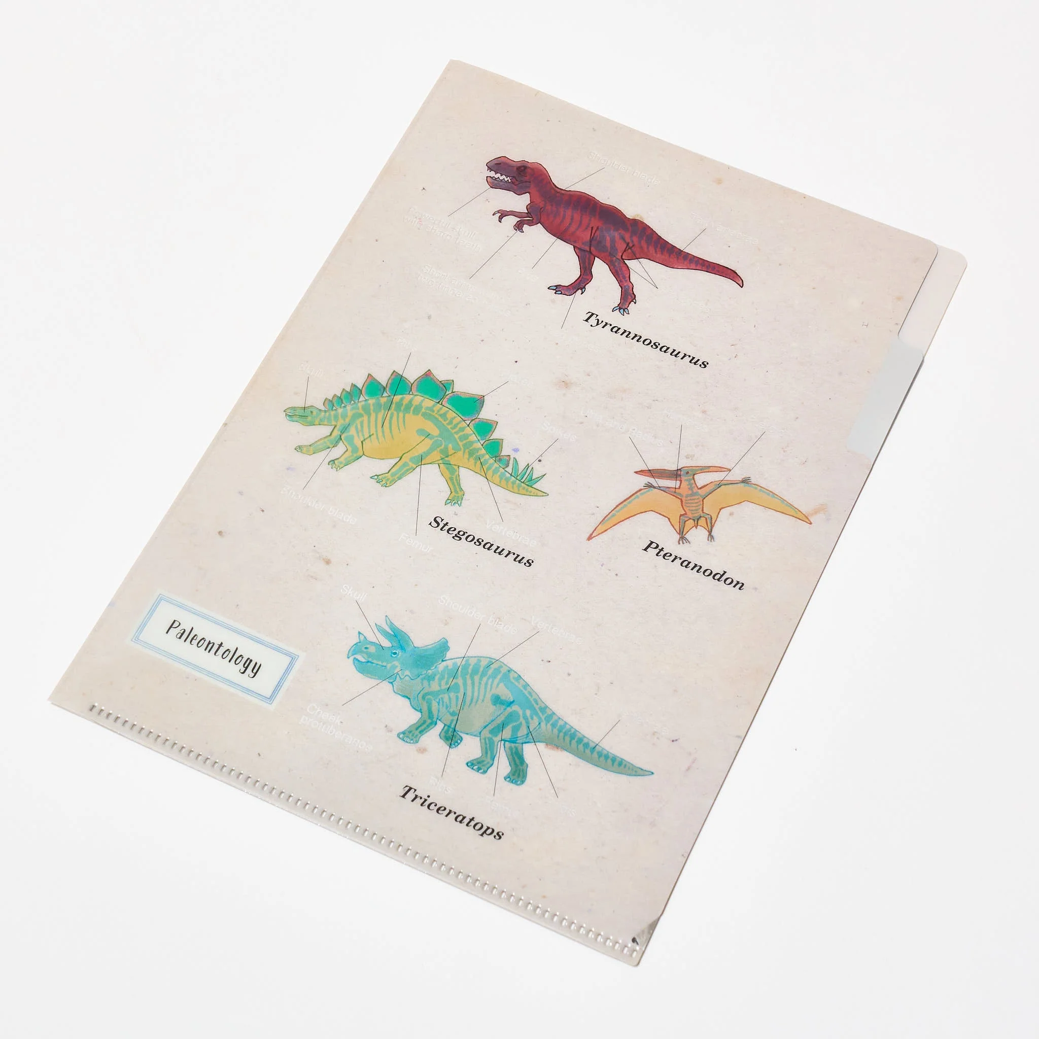 Paleontology STUDY HOLIC Bundle / GreenFlash - Image 2