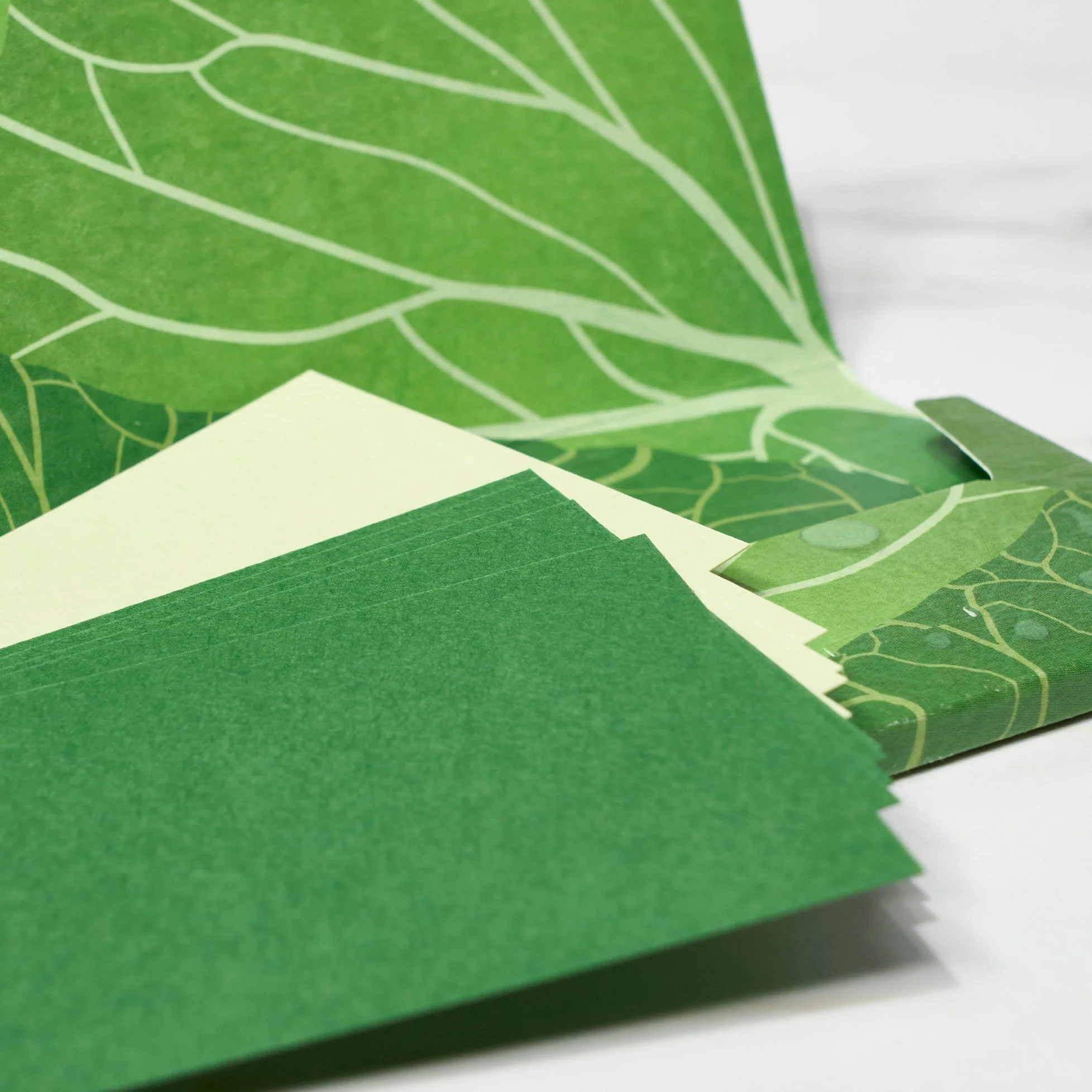 Paper Card Case / ICHIKUDO - Image 2