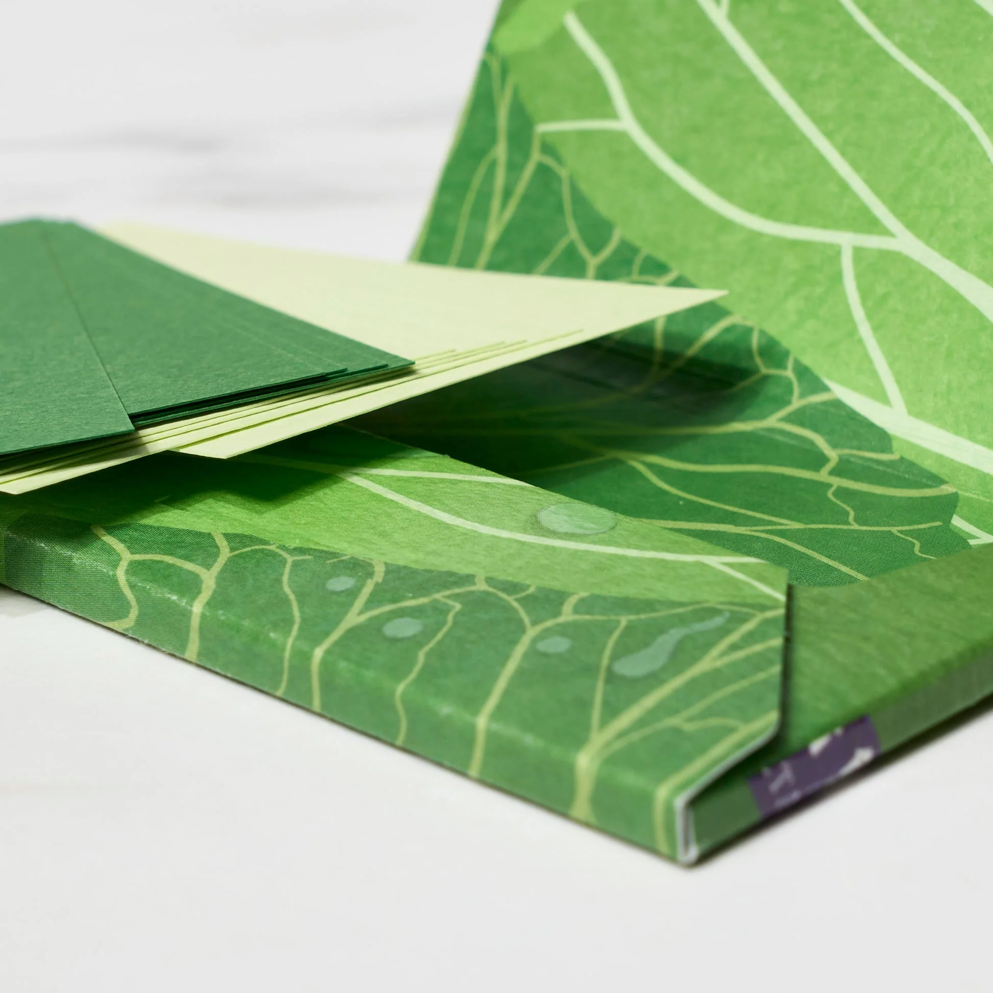 Paper Card Case / ICHIKUDO - Image 29