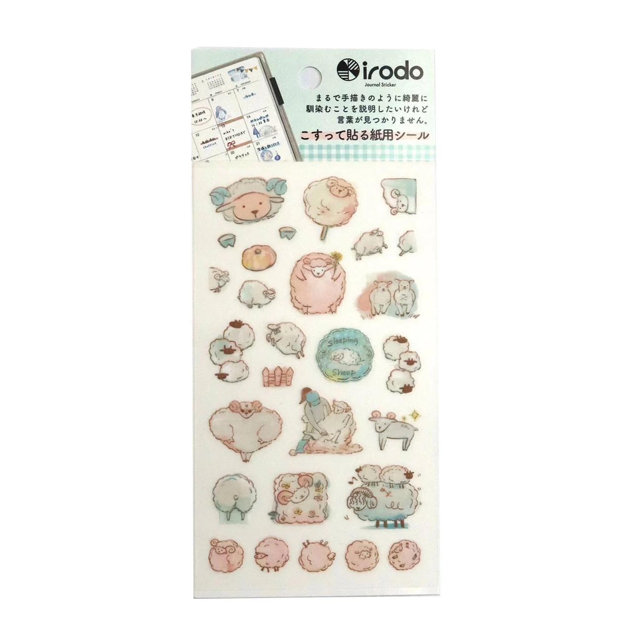 Paper Transfer Journal Sticker Set / irodo - Image 26