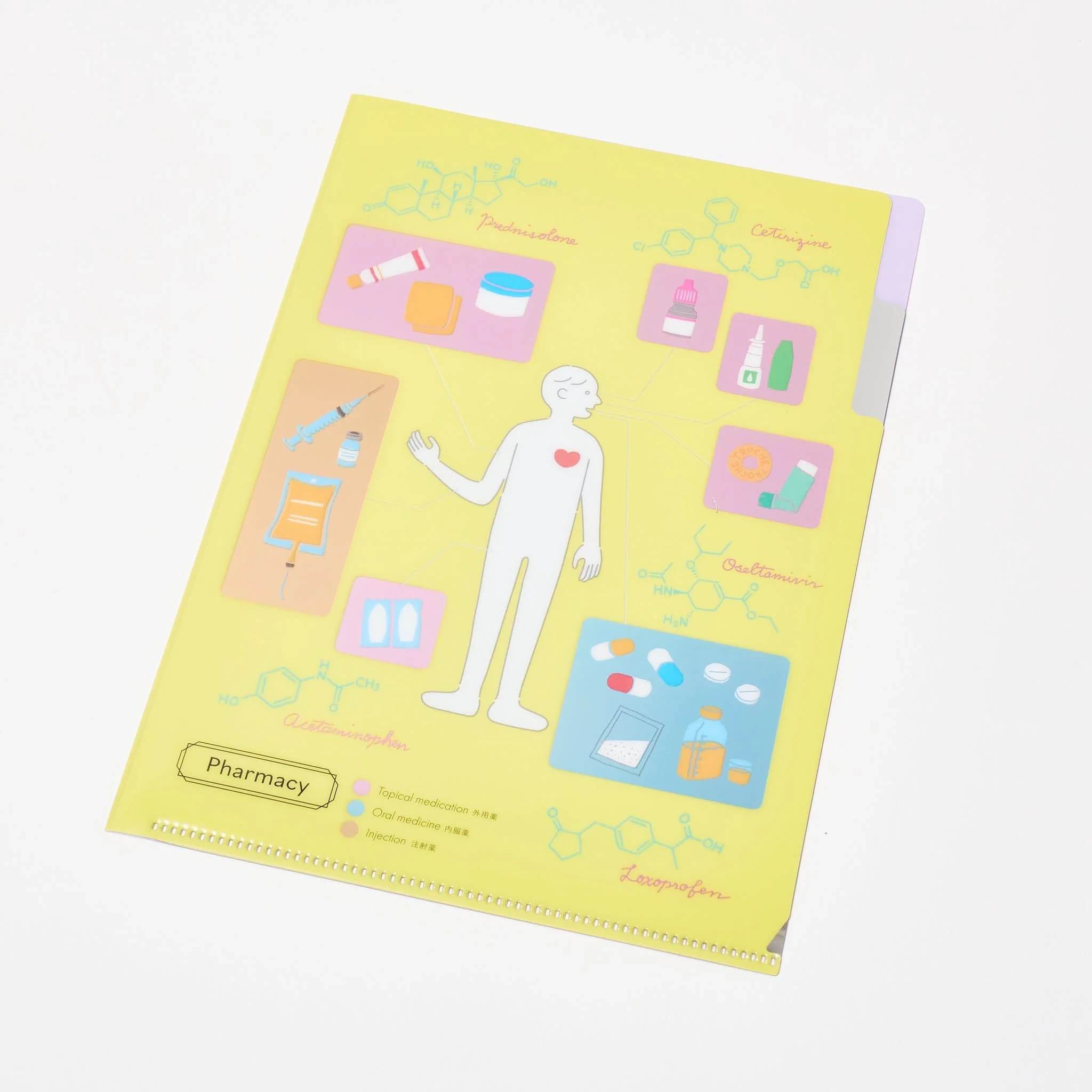 STUDY HOLIC A5 Pocket Clear File Folder / GreenFlash - Image 11
