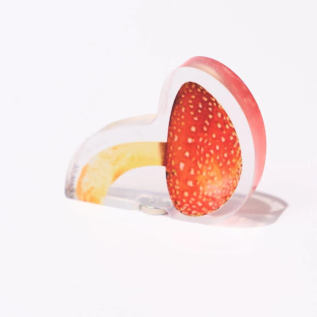 Popping Surprise Magnets Gacha Capsule - Image 5
