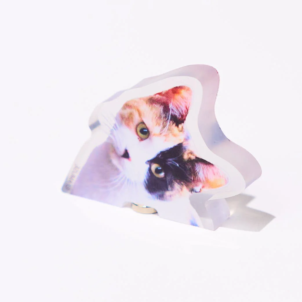 Popping Surprise Magnets Gacha Capsule - Image 6