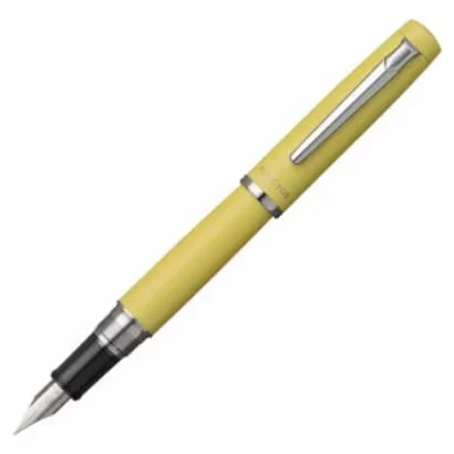 Procyon Dual-Purpose Fountain Pen / Platinum - Image 9