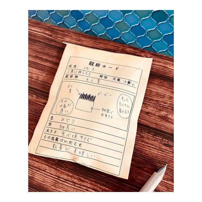 Retro Flat Paper Bags 10-Pack / Kinokosya - Image 24