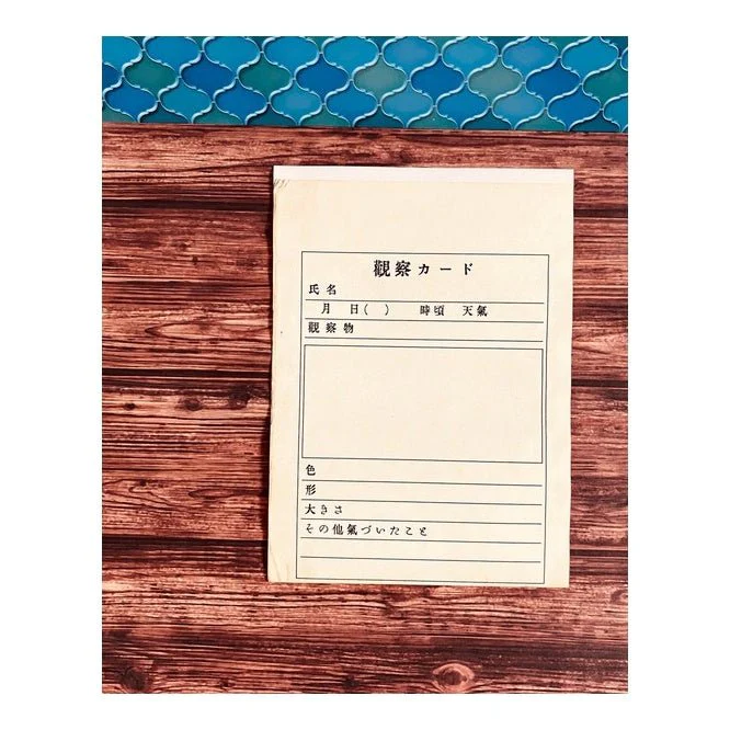 Retro Flat Paper Bags 10-Pack / Kinokosya - Image 26