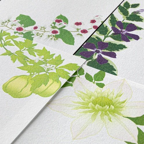 Seasons Silk-Print Envelope Letter Paper / MIDORI - Image 15