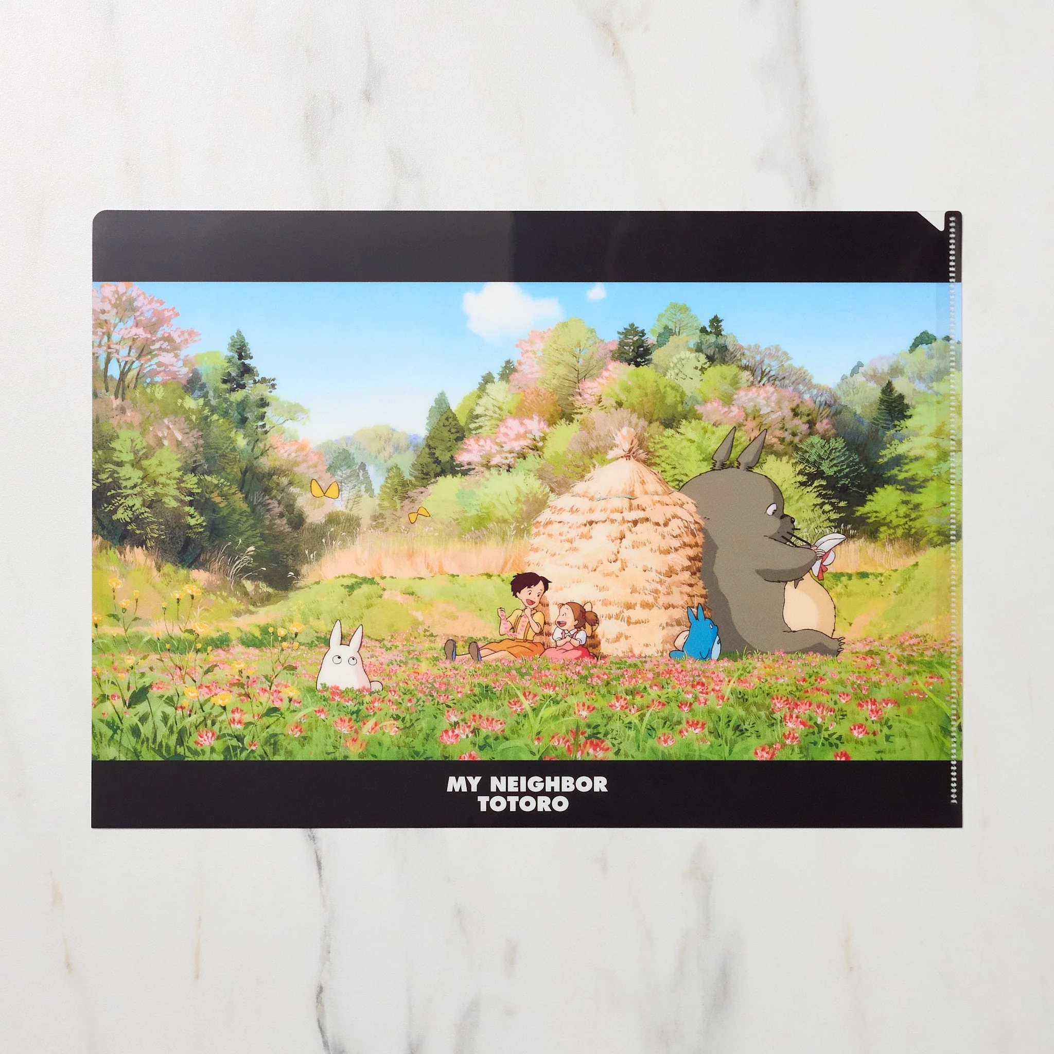 Studio Ghibli "My Neighbor Totoro" Scenes A4 Clear File Folder / Movic - Image 3
