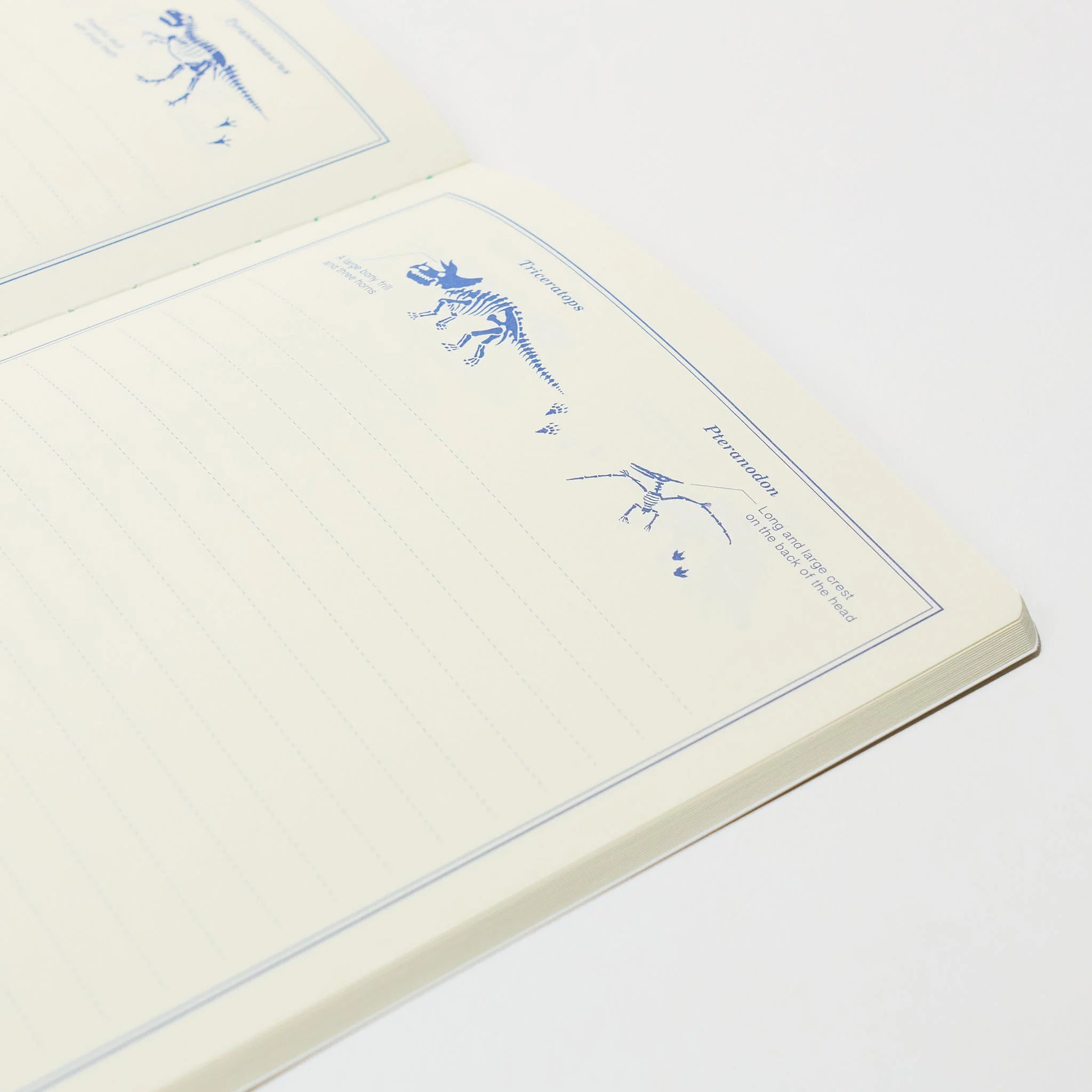 STUDY HOLIC A5 Notebook / GreenFlash - Image 20
