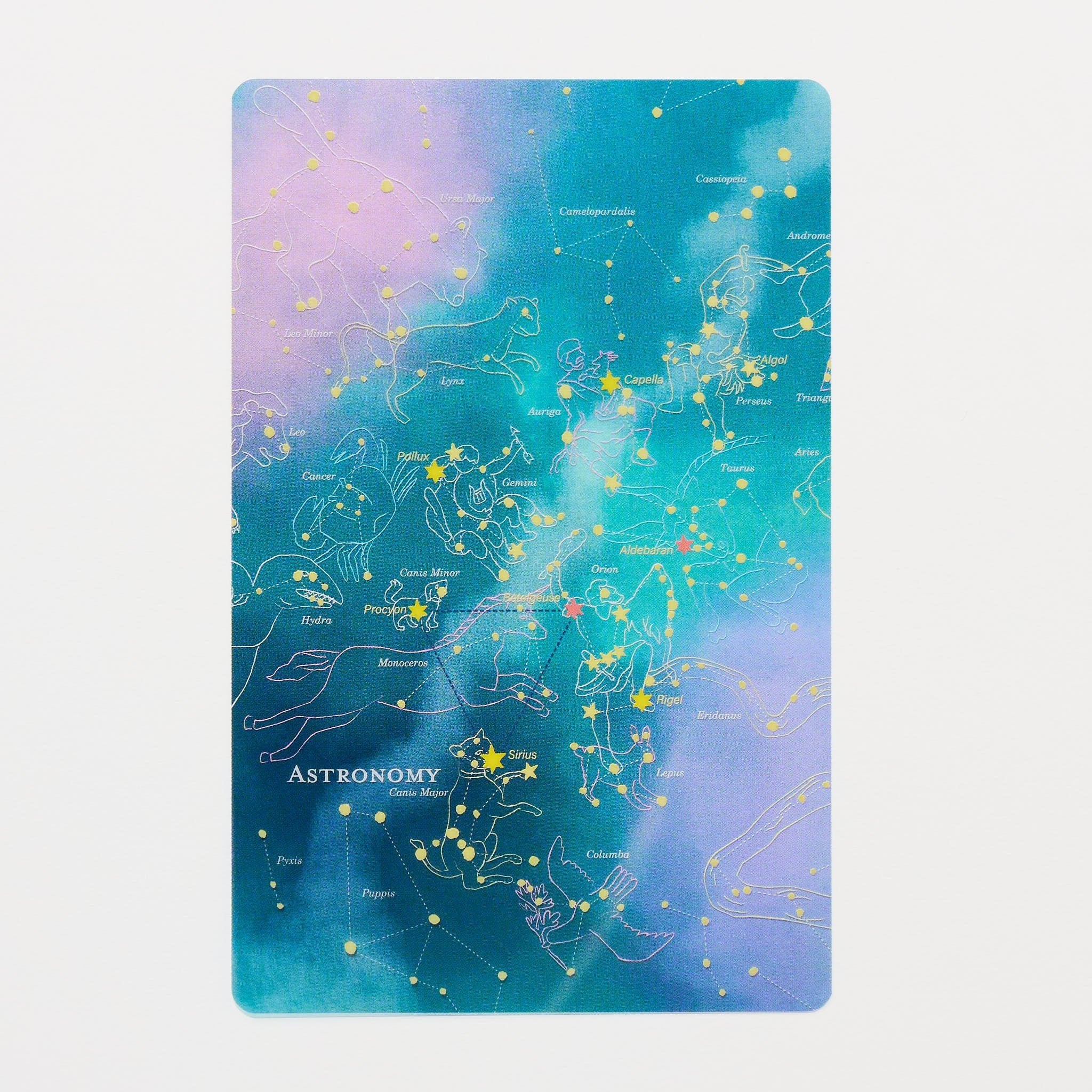 STUDY HOLIC Clear Bookmark / GreenFlash - Image 5