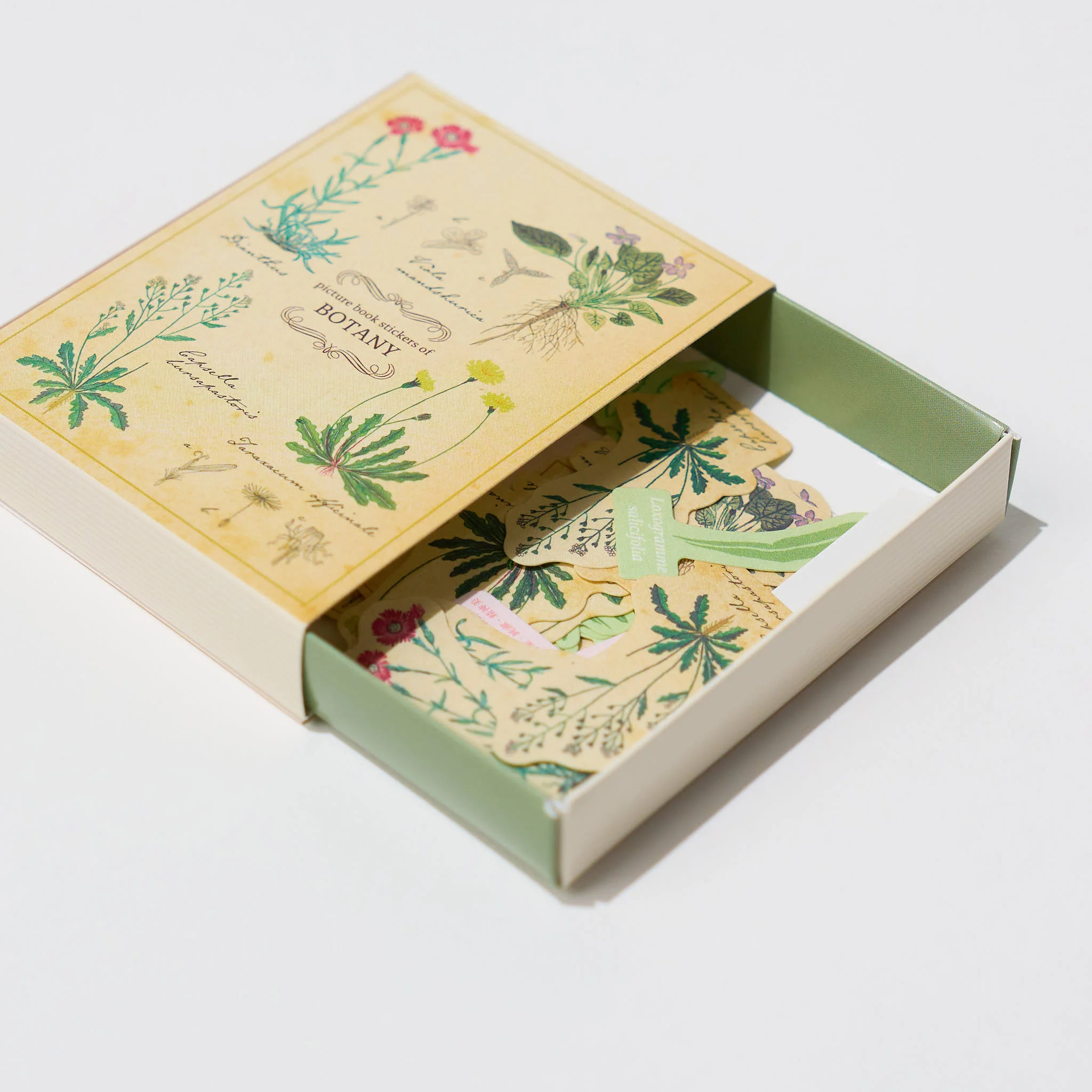STUDY HOLIC Flake Stickers with Encyclopedia Case / GreenFlash - Image 2