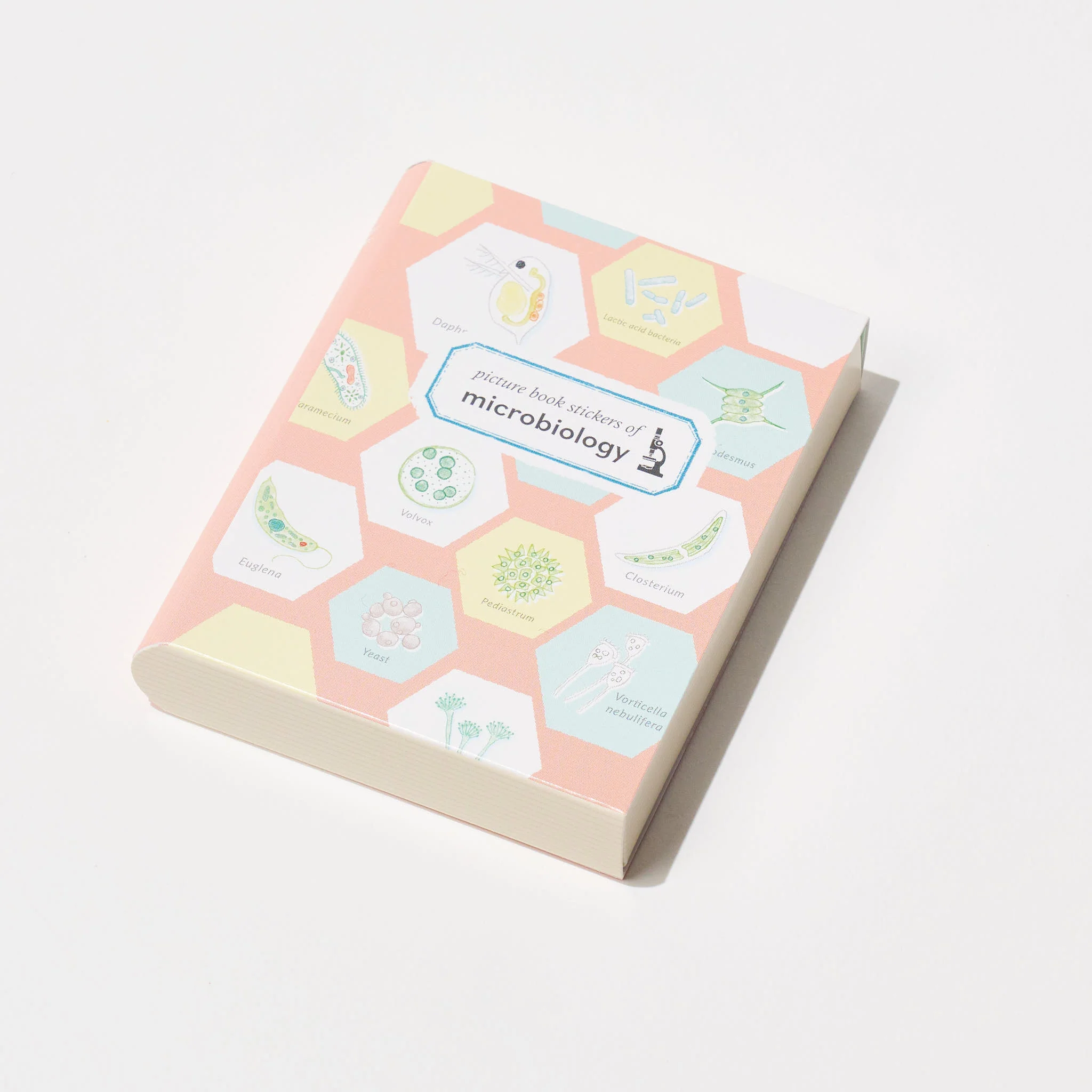 STUDY HOLIC Flake Stickers with Encyclopedia Case / GreenFlash - Image 3
