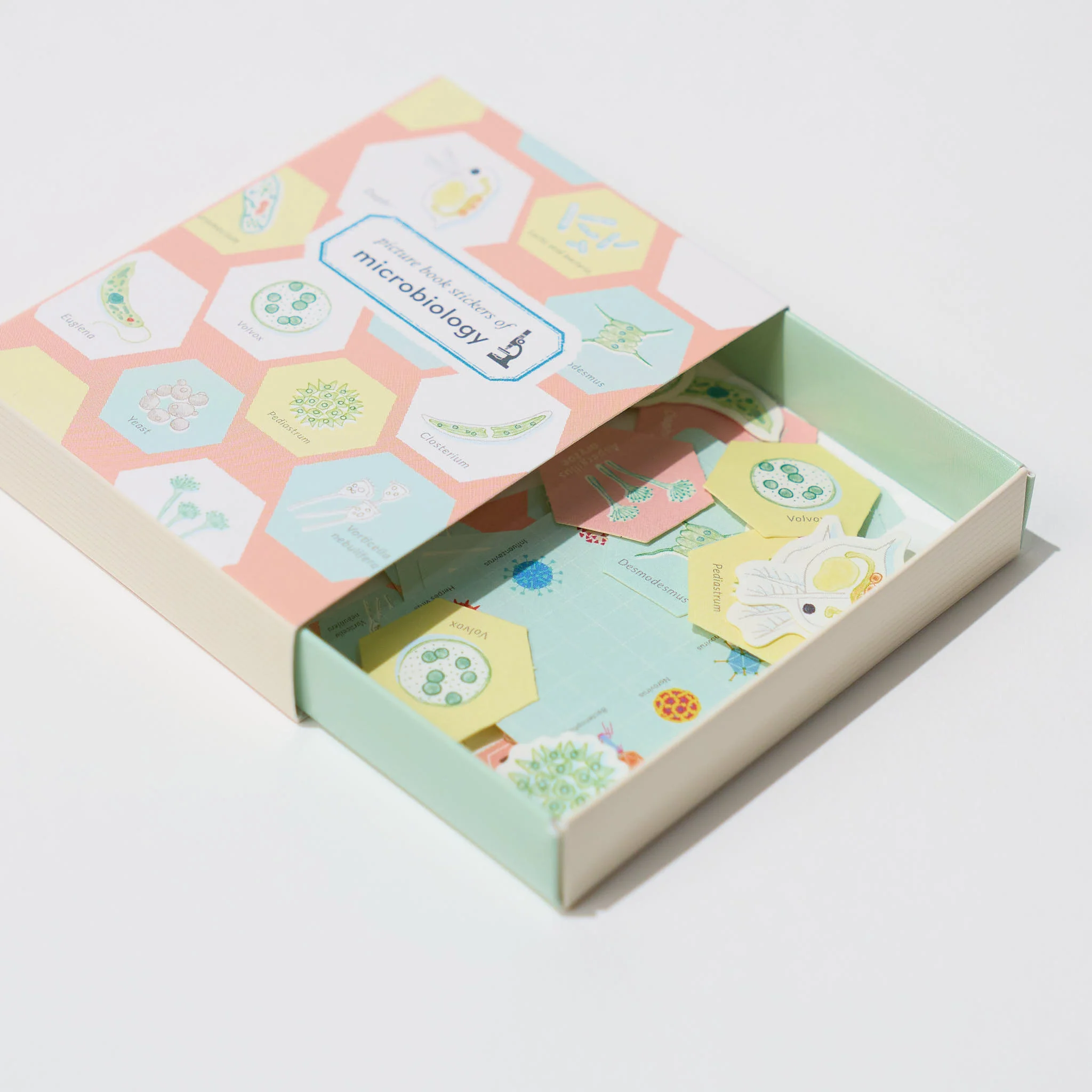 STUDY HOLIC Flake Stickers with Encyclopedia Case / GreenFlash - Image 4
