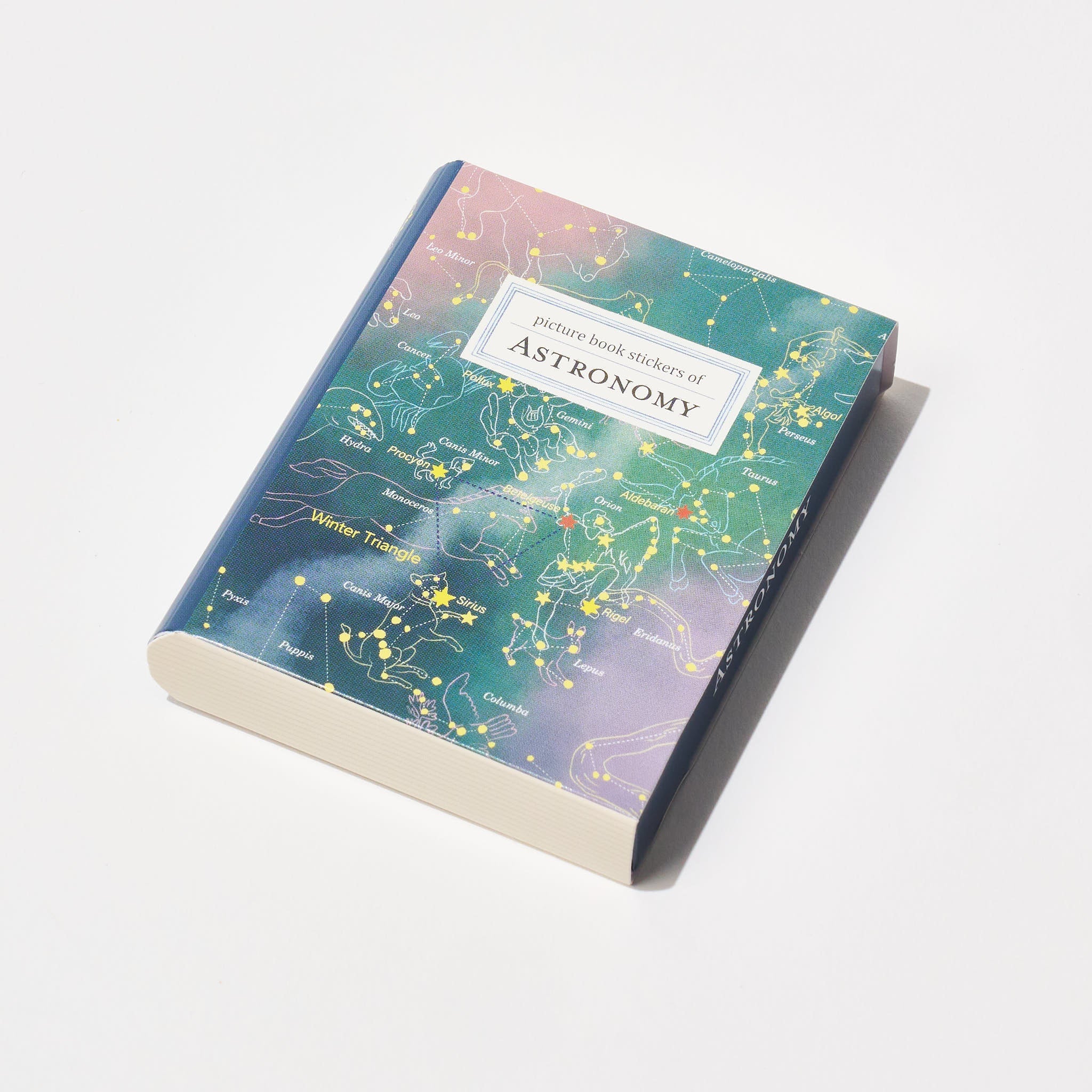 STUDY HOLIC Flake Stickers with Encyclopedia Case / GreenFlash - Image 7