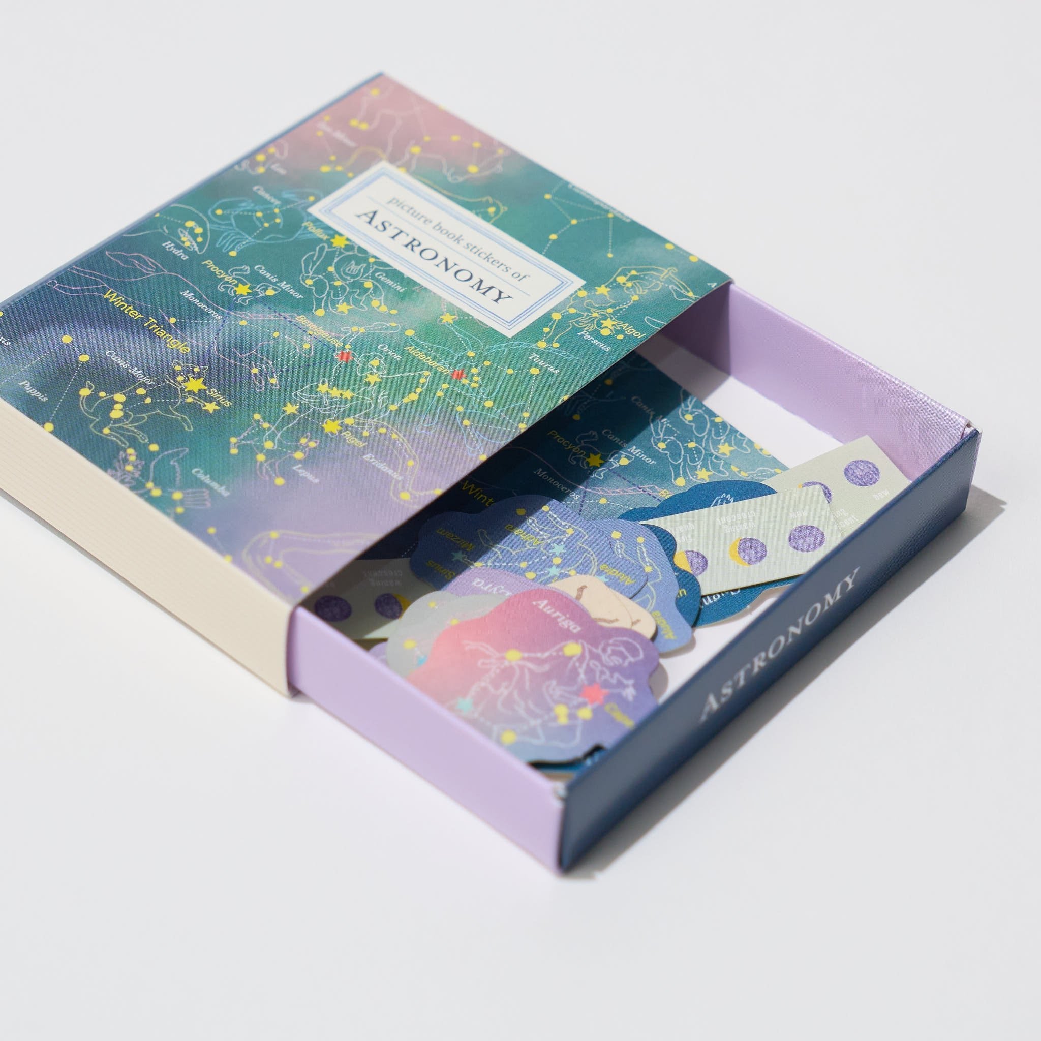 STUDY HOLIC Flake Stickers with Encyclopedia Case / GreenFlash - Image 8