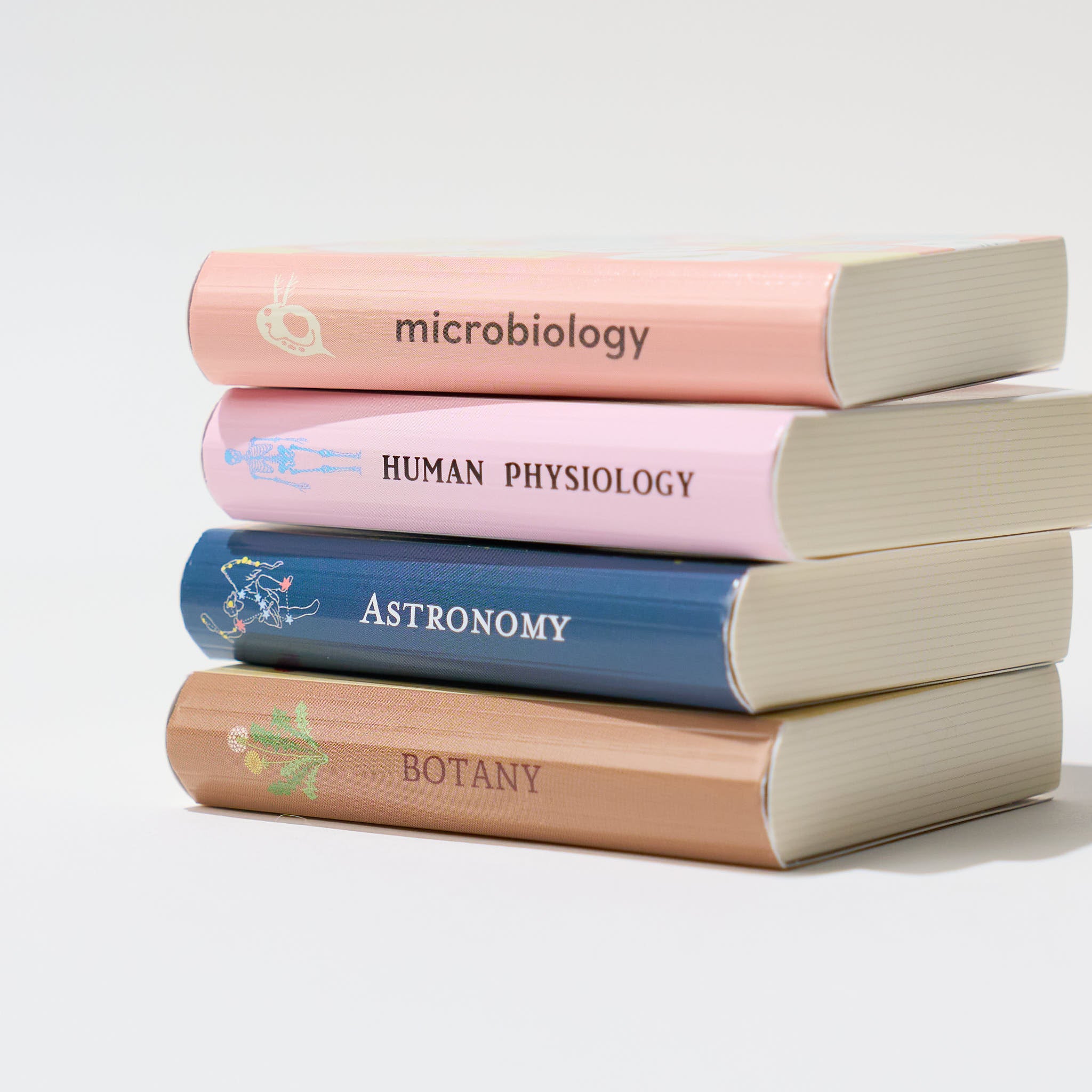STUDY HOLIC Flake Stickers with Encyclopedia Case / GreenFlash - Image 9