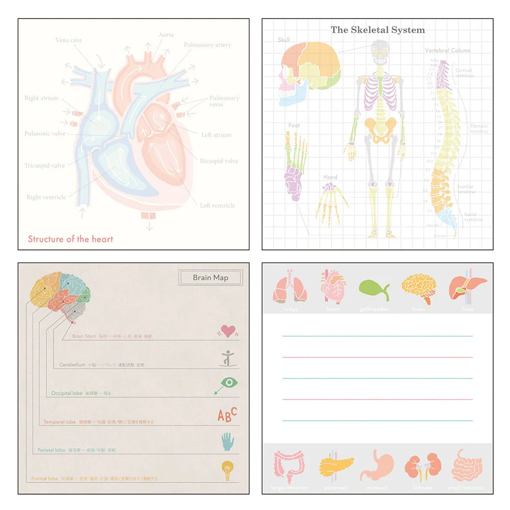 STUDY HOLIC Memo Pad Square / GreenFlash - Image 28
