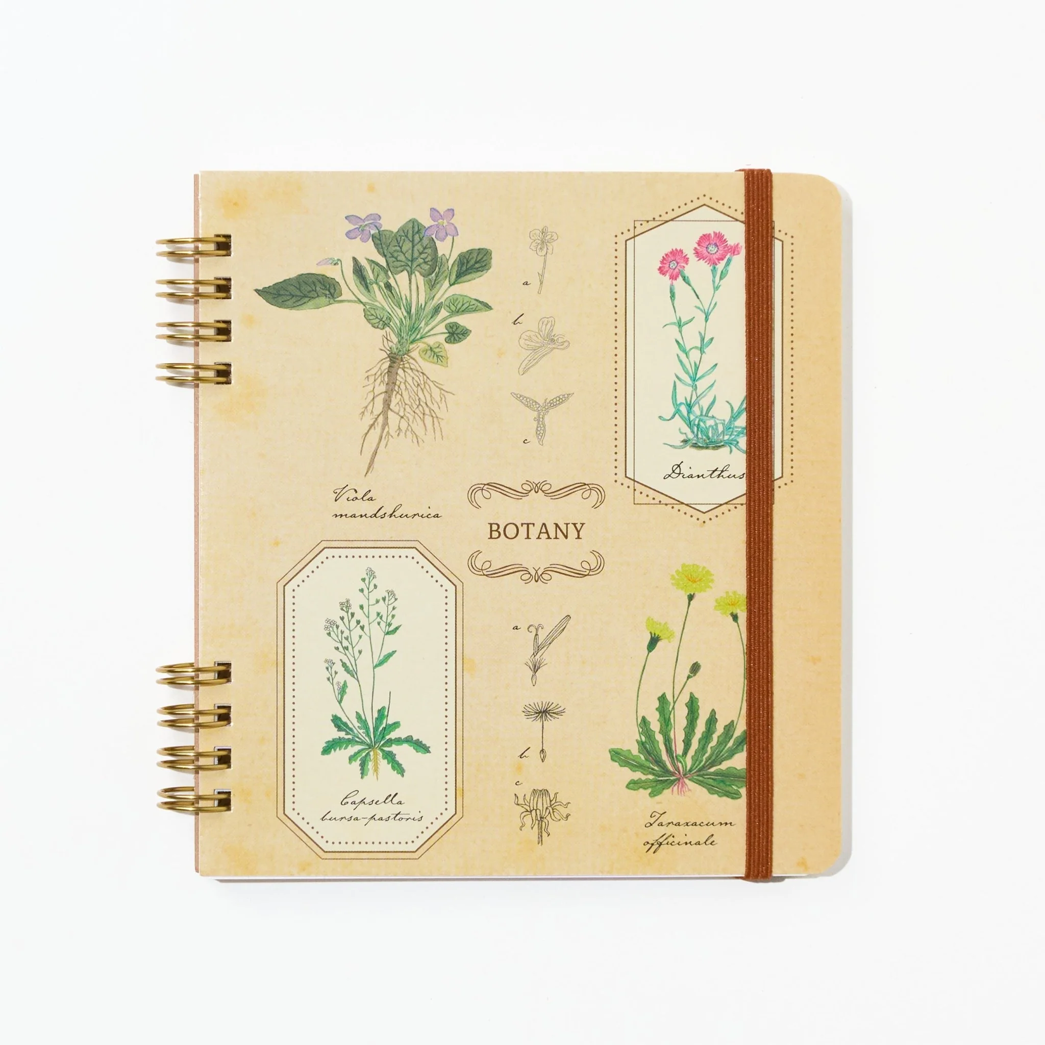 STUDY HOLIC Ring Notebook Square / GreenFlash - Image 3