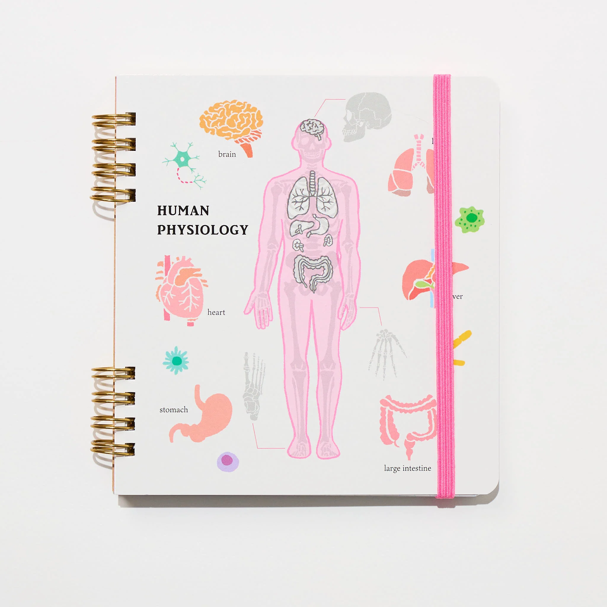 STUDY HOLIC Ring Notebook Square / GreenFlash - Image 4