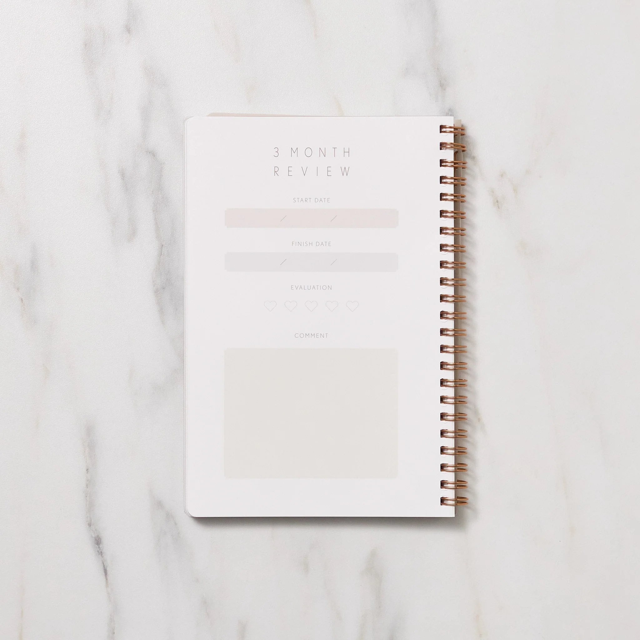STUDY PLANNER DIARY A5 Ring Type Notebook / IROHA PUBLISHING - Image 10