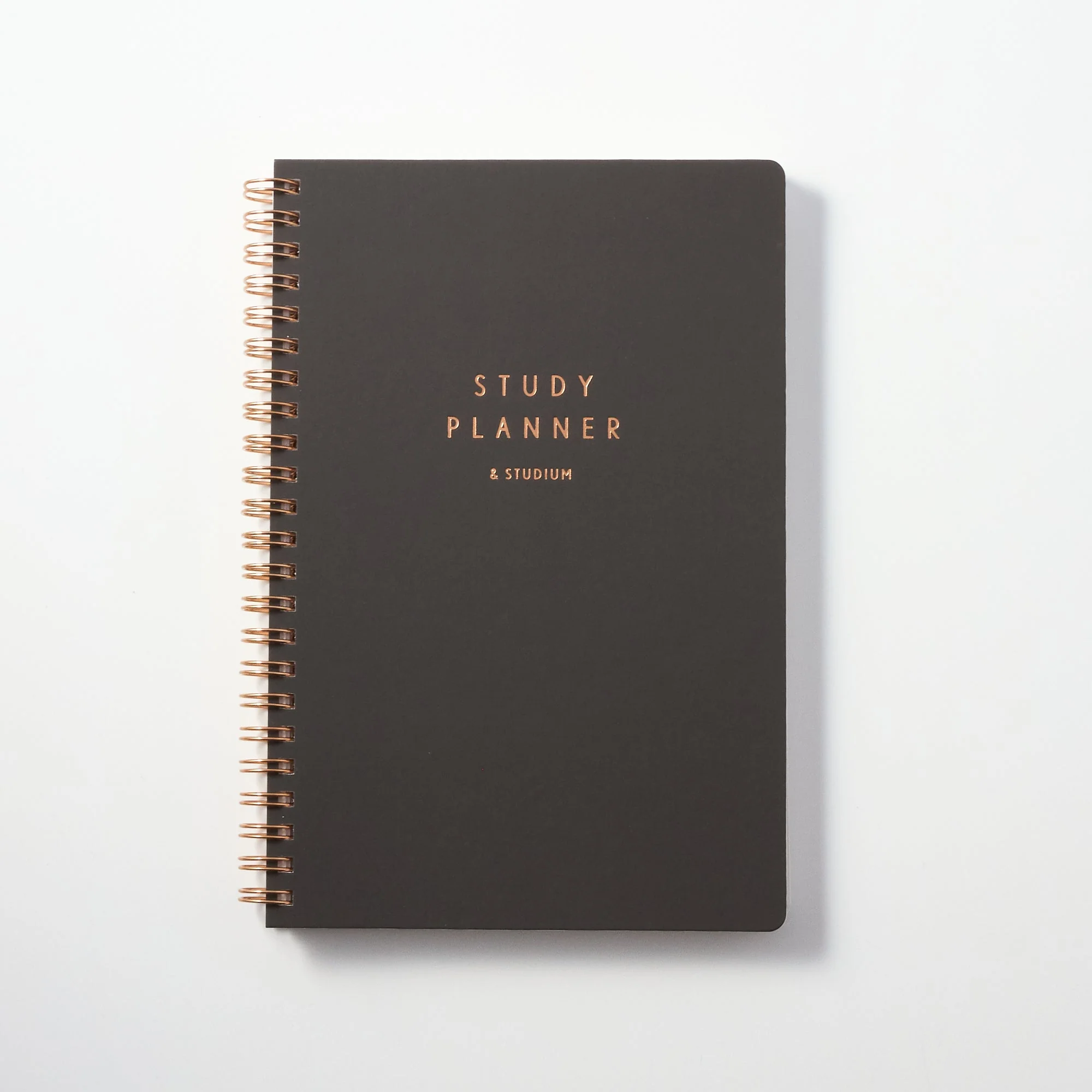 STUDY PLANNER DIARY A5 Ring Type Notebook / IROHA PUBLISHING - Image 3