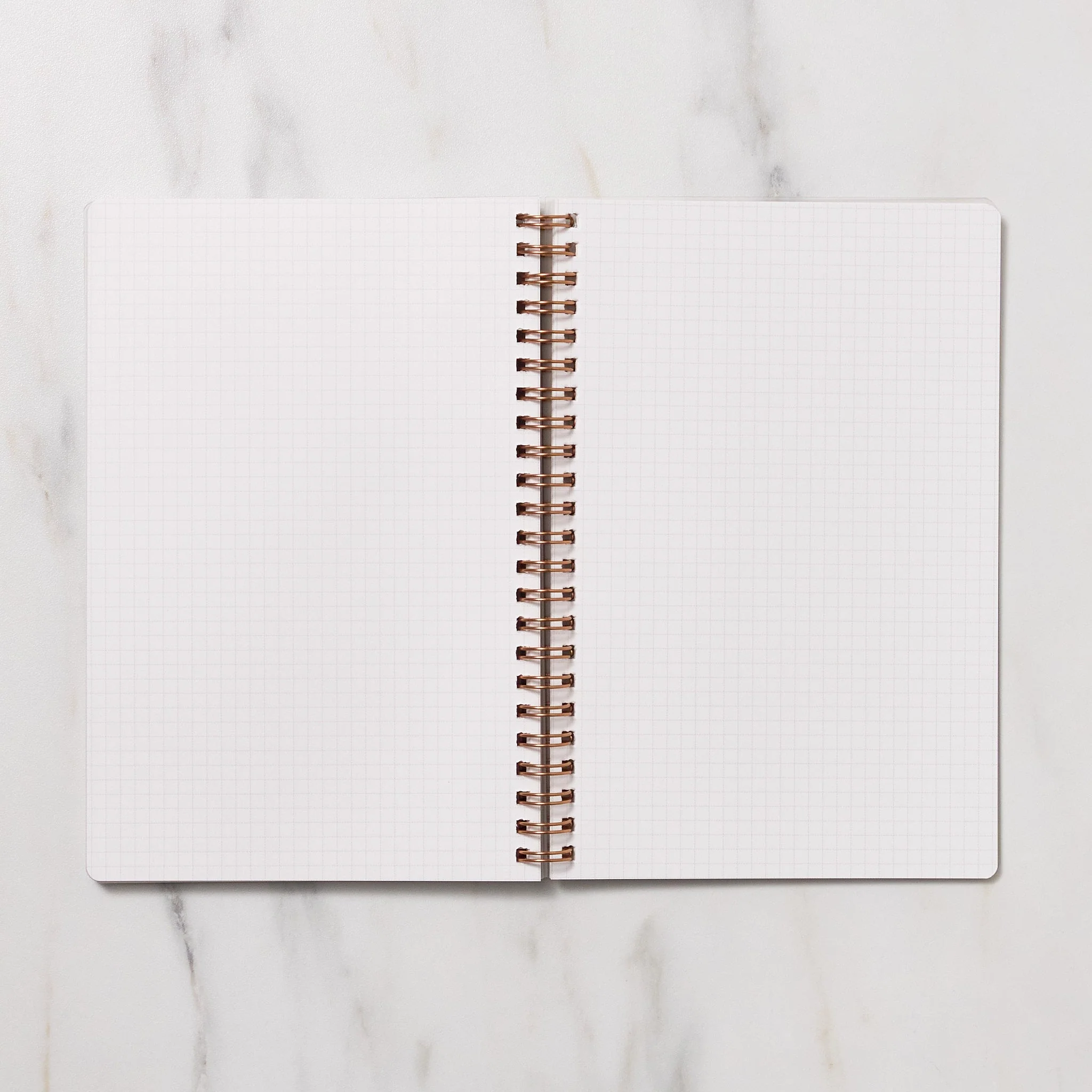 STUDY PLANNER DIARY A5 Ring Type Notebook / IROHA PUBLISHING - Image 8