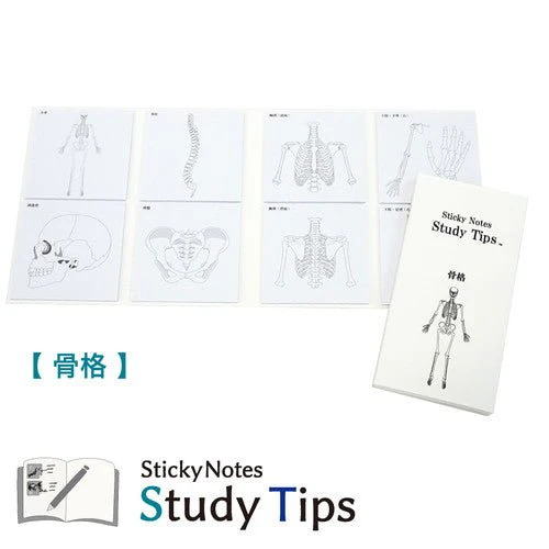 Study Tips Sticky Notes 8 Designs 20 Sheets / shikisaisai - Image 10