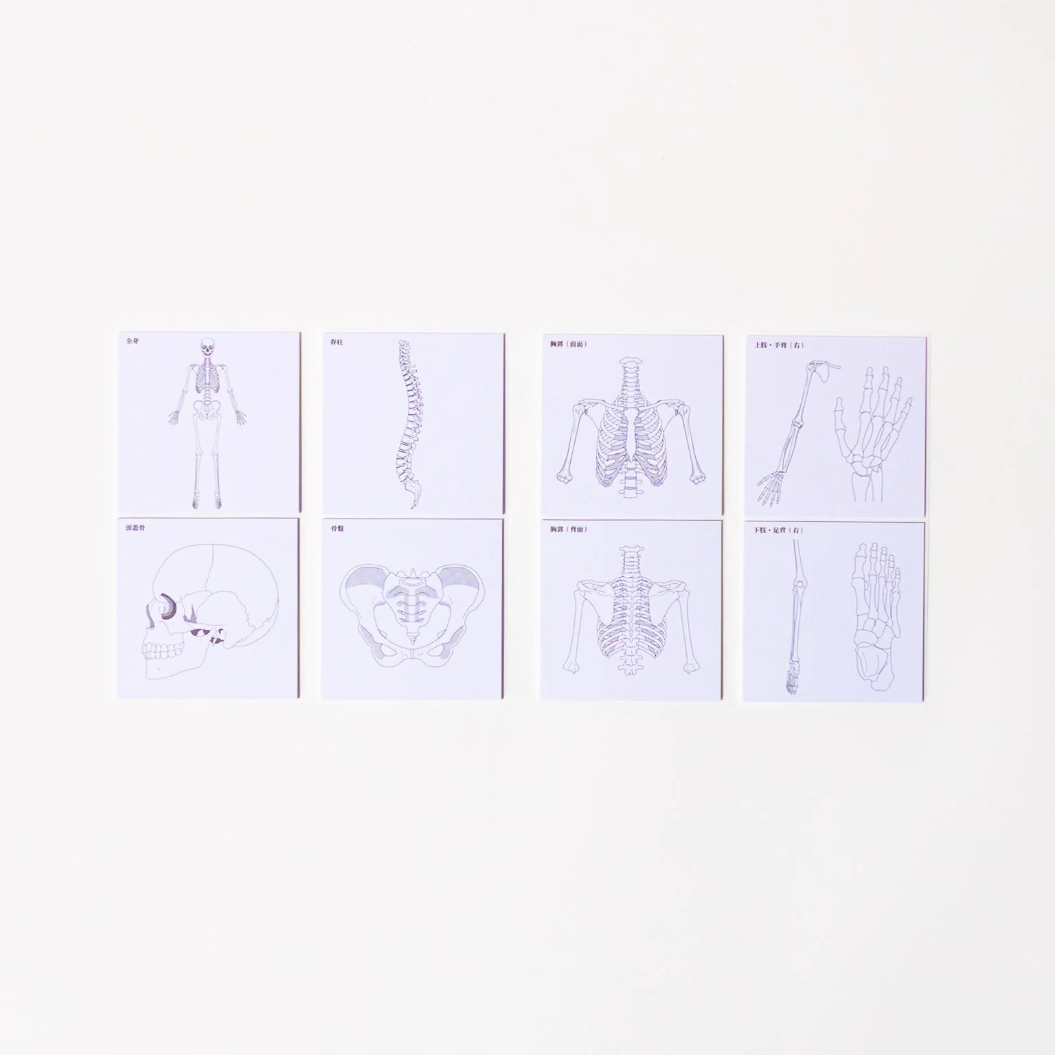 Study Tips Sticky Notes 8 Designs 20 Sheets / shikisaisai - Image 11