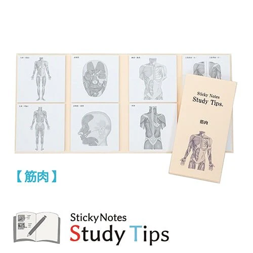 Study Tips Sticky Notes 8 Designs 20 Sheets / shikisaisai - Image 14