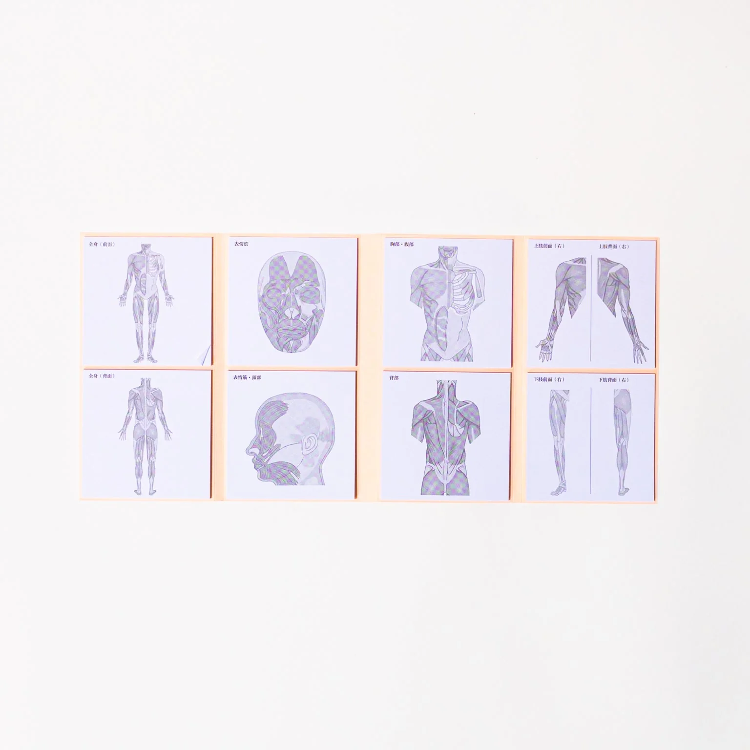 Study Tips Sticky Notes 8 Designs 20 Sheets / shikisaisai - Image 15