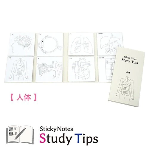 Study Tips Sticky Notes 8 Designs 20 Sheets / shikisaisai - Image 2