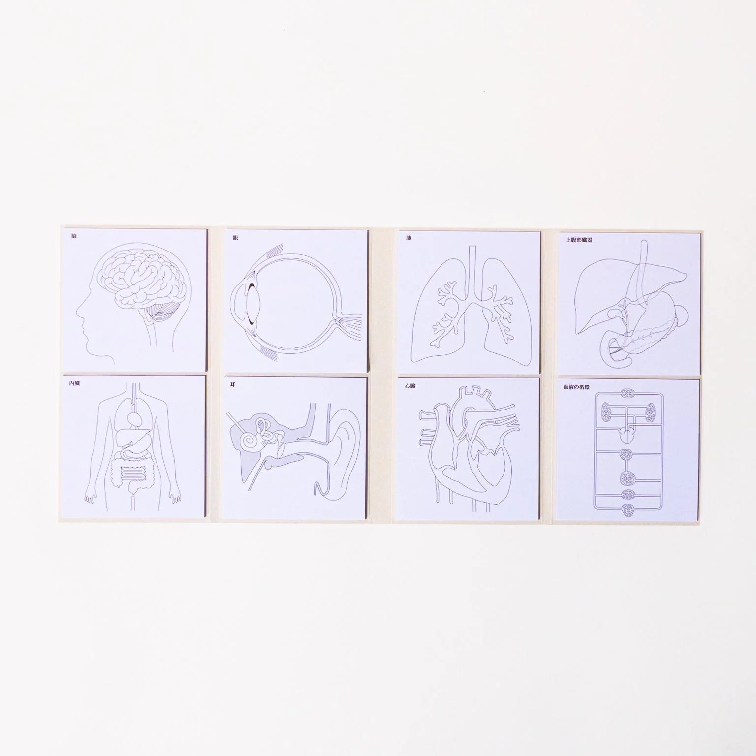 Study Tips Sticky Notes 8 Designs 20 Sheets / shikisaisai - Image 3