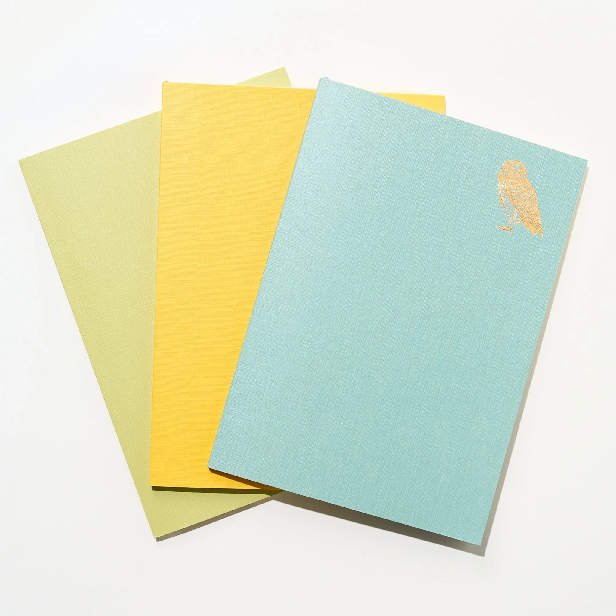 Time Choice Diary / MIDORI - Image 8