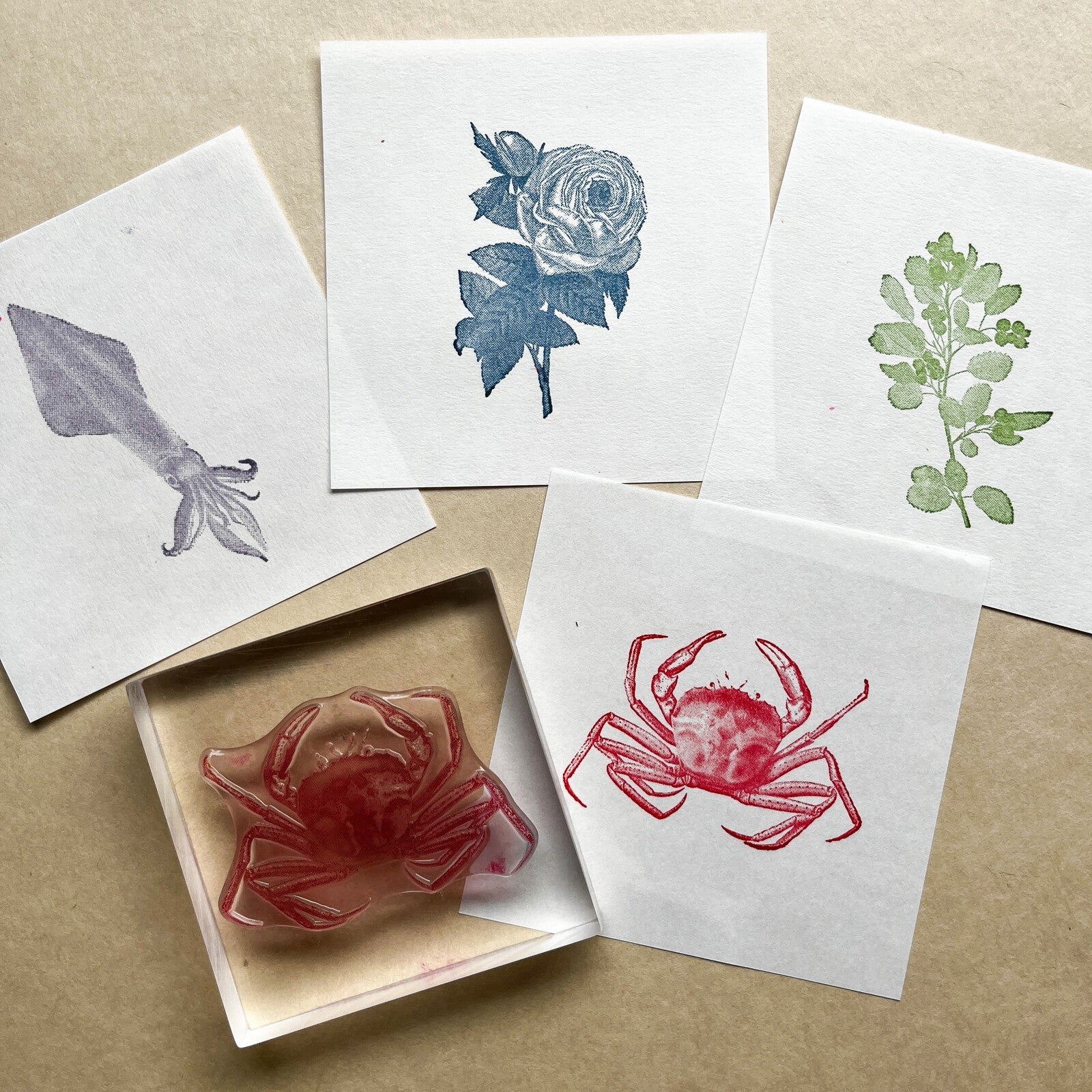TO-MEI HAN Biology Stamps / tri-gram - Image 11