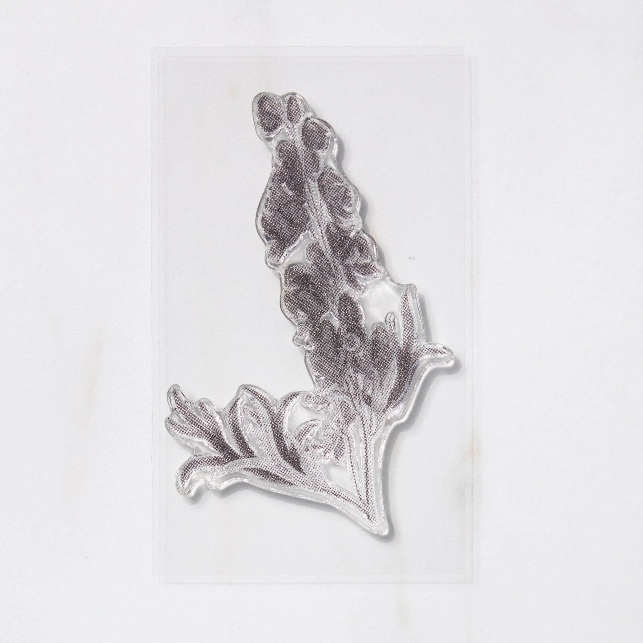 TO-MEI HAN Biology Stamps / tri-gram - Image 5