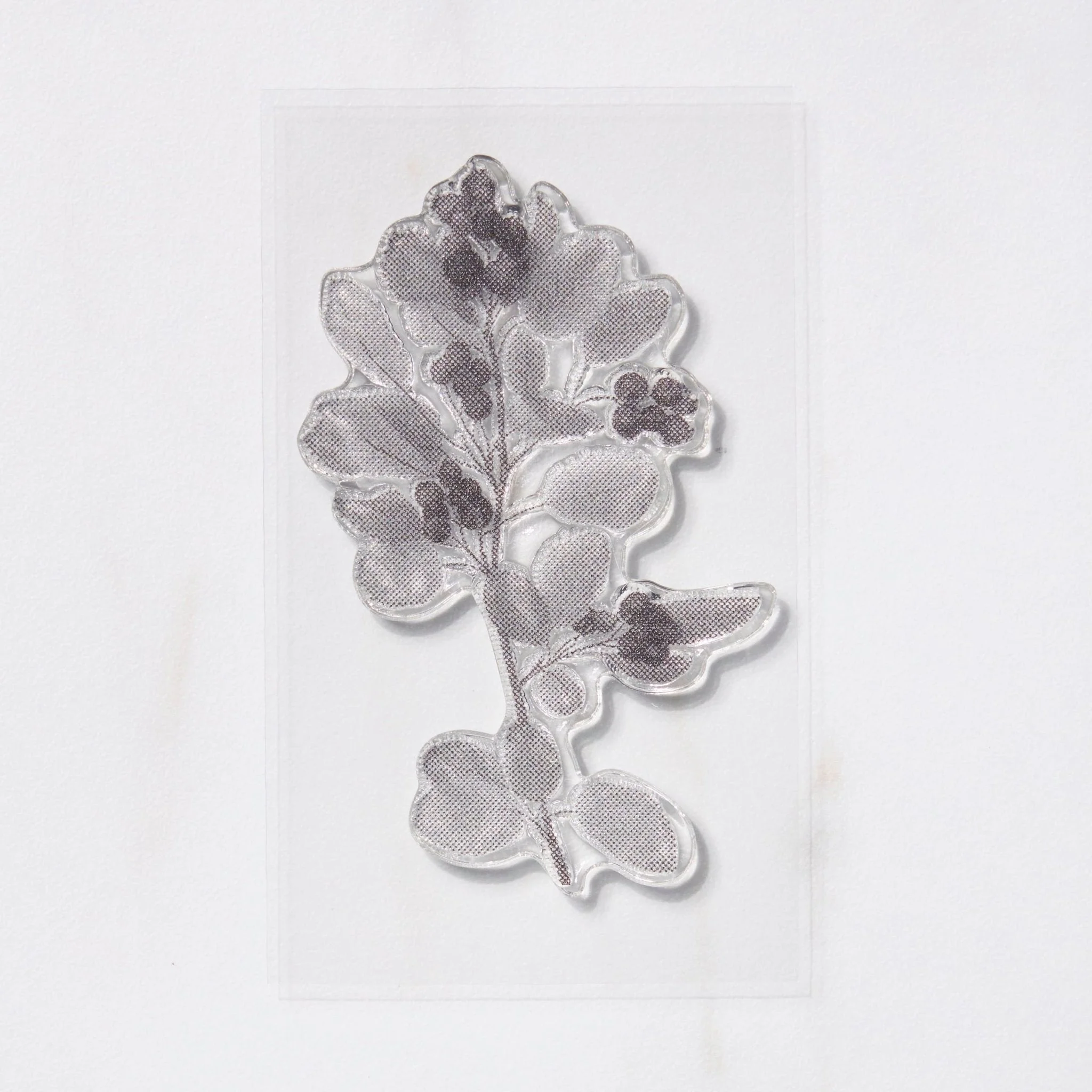 TO-MEI HAN Biology Stamps / tri-gram - Image 7