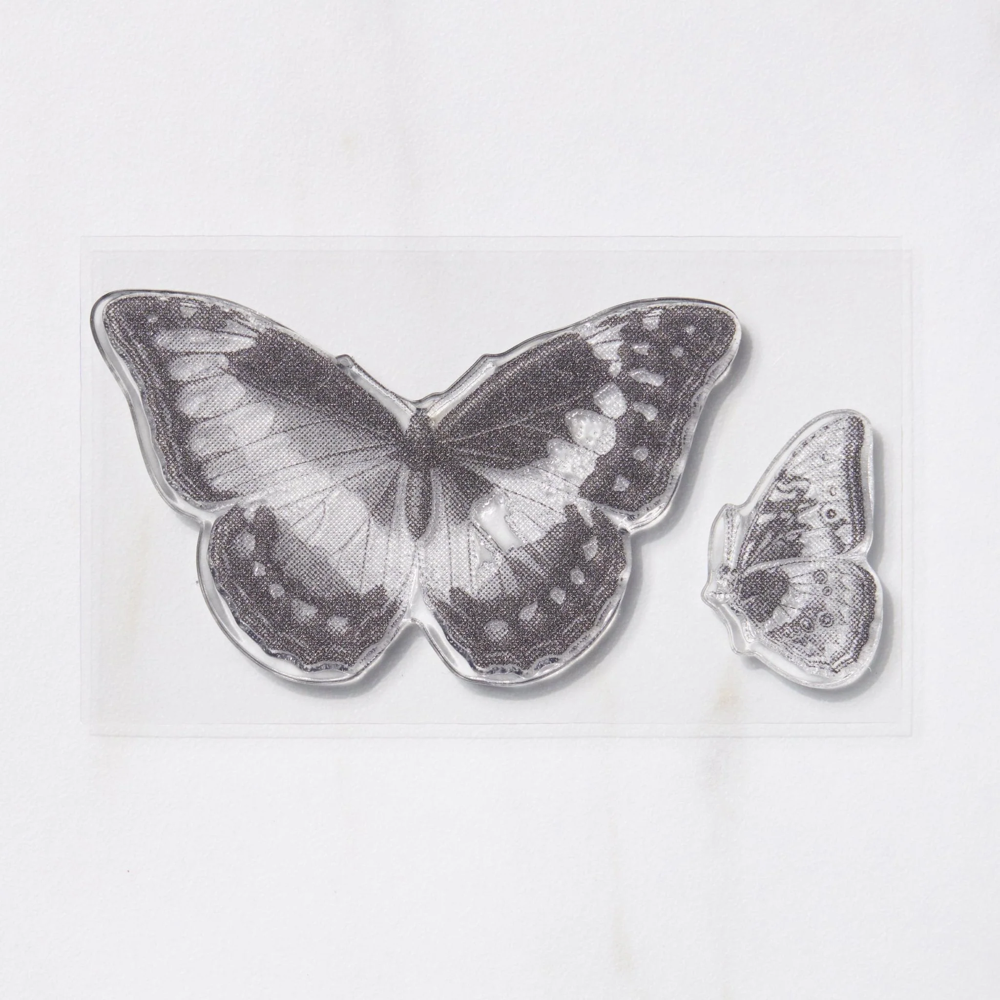 TO-MEI HAN Biology Stamps / tri-gram - Image 9